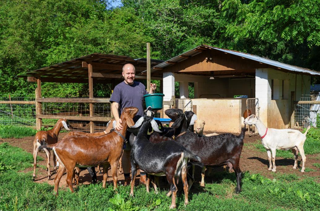 Man standing outdoors with goats and sheep in a grassy area, wooden shelter and trees in background.