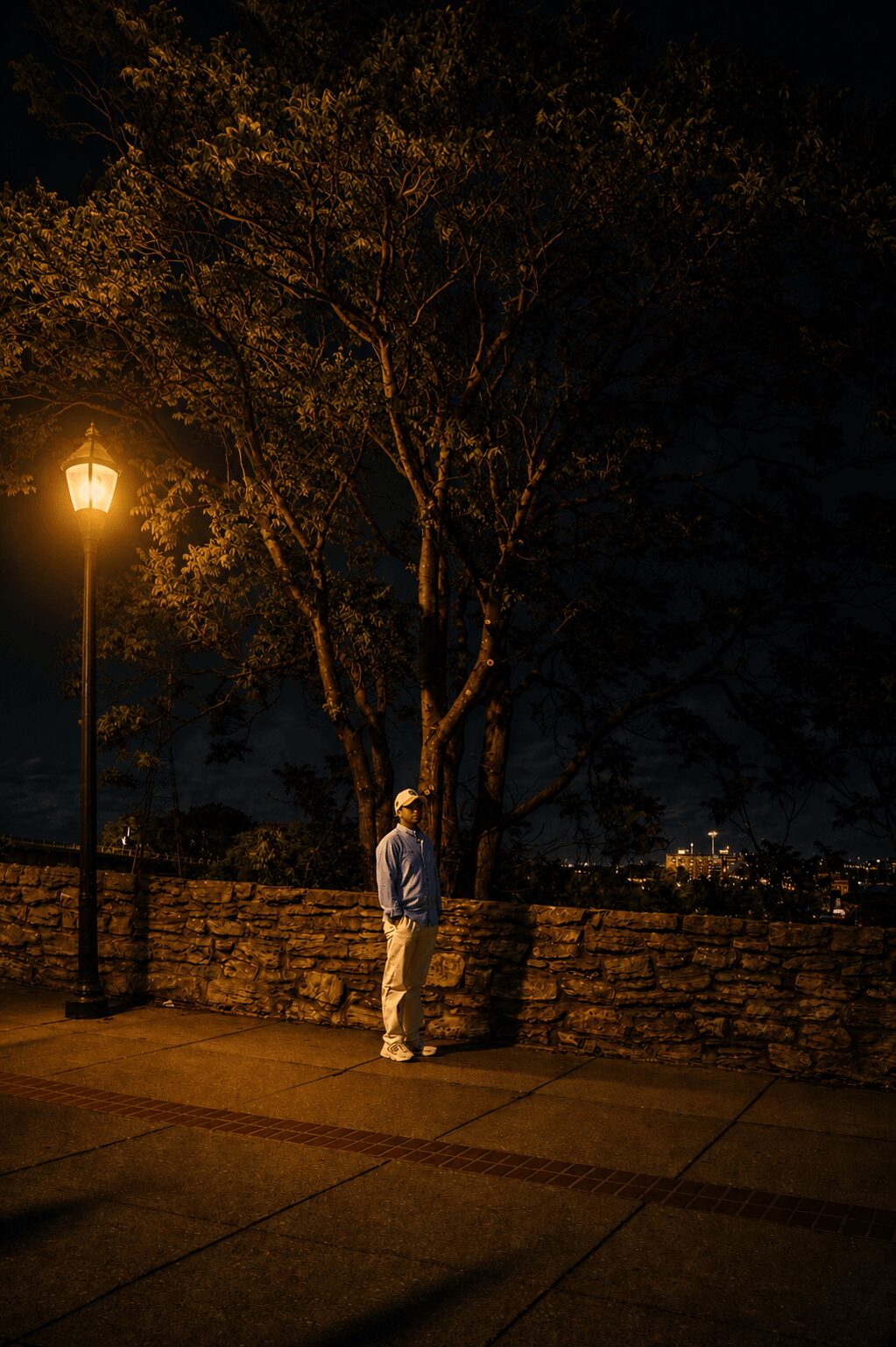 Person standing near a stone wall under a tree at night, illuminated by a streetlamp, dark sky in background.
