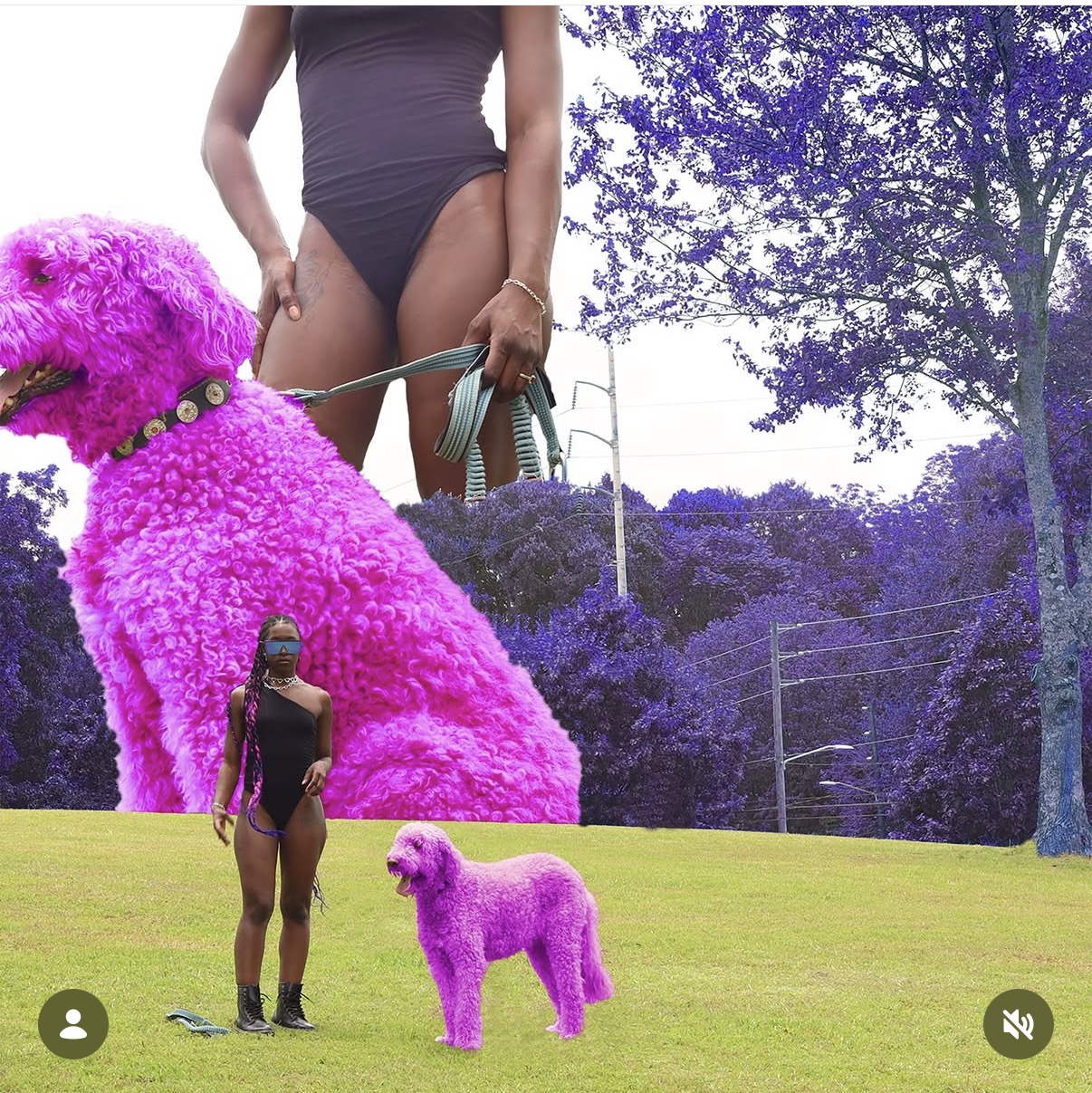 A woman in a black swimsuit with a large pink poodle and a smaller pink poodle outdoors with trees and grass.