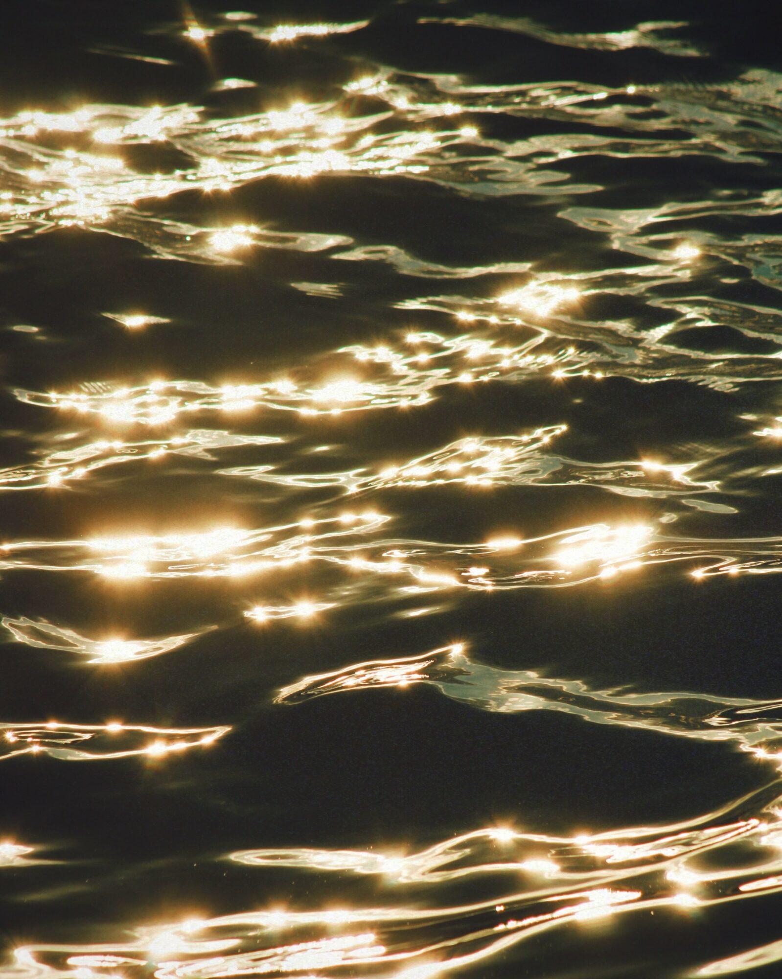 Sunlight reflects on rippling water surface creating bright, shimmering patterns.
