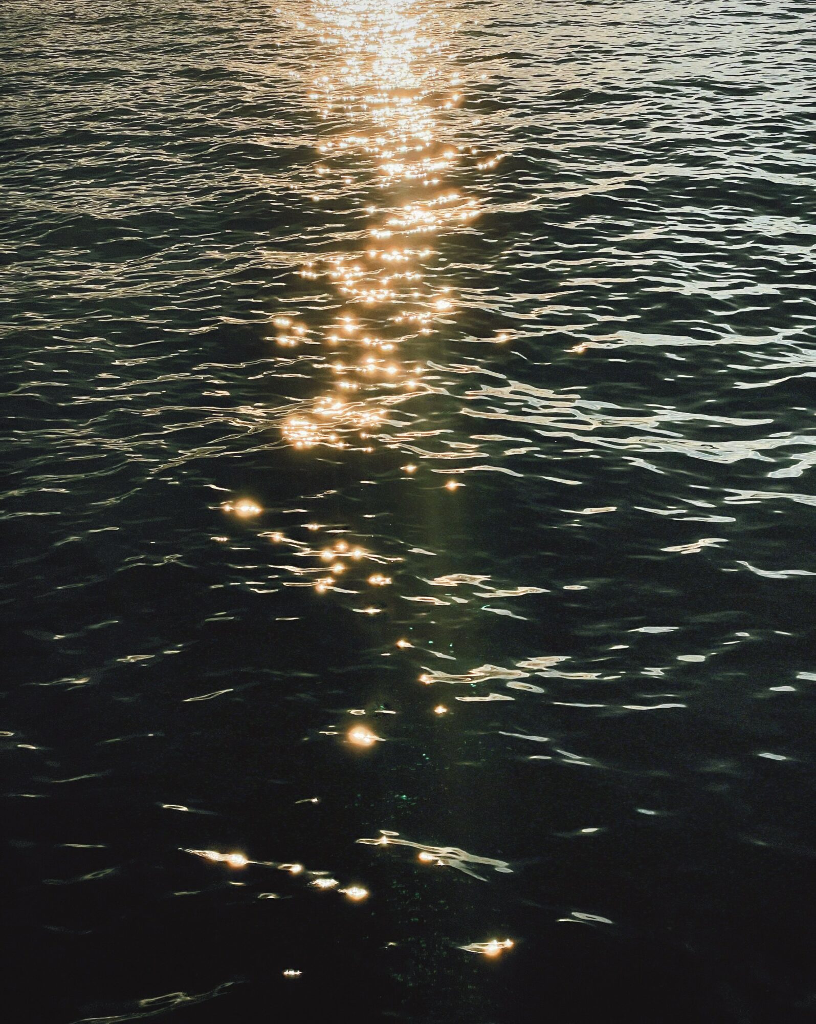 Sunlight reflects on water surface creating a shimmering path, with ripples visible across the water.
