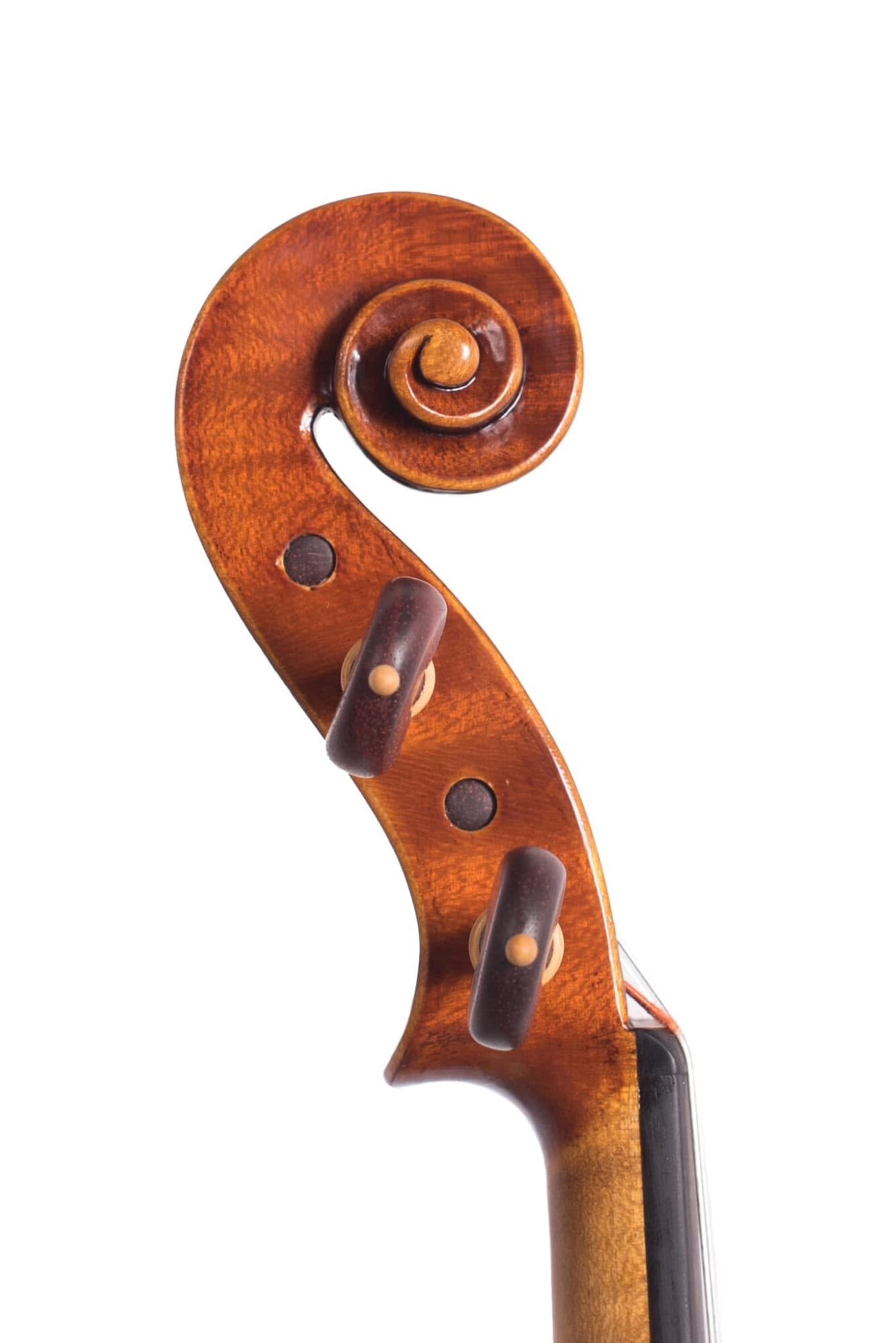 Close-up of a violin scroll and tuning pegs made of wood, with a warm brown finish.
