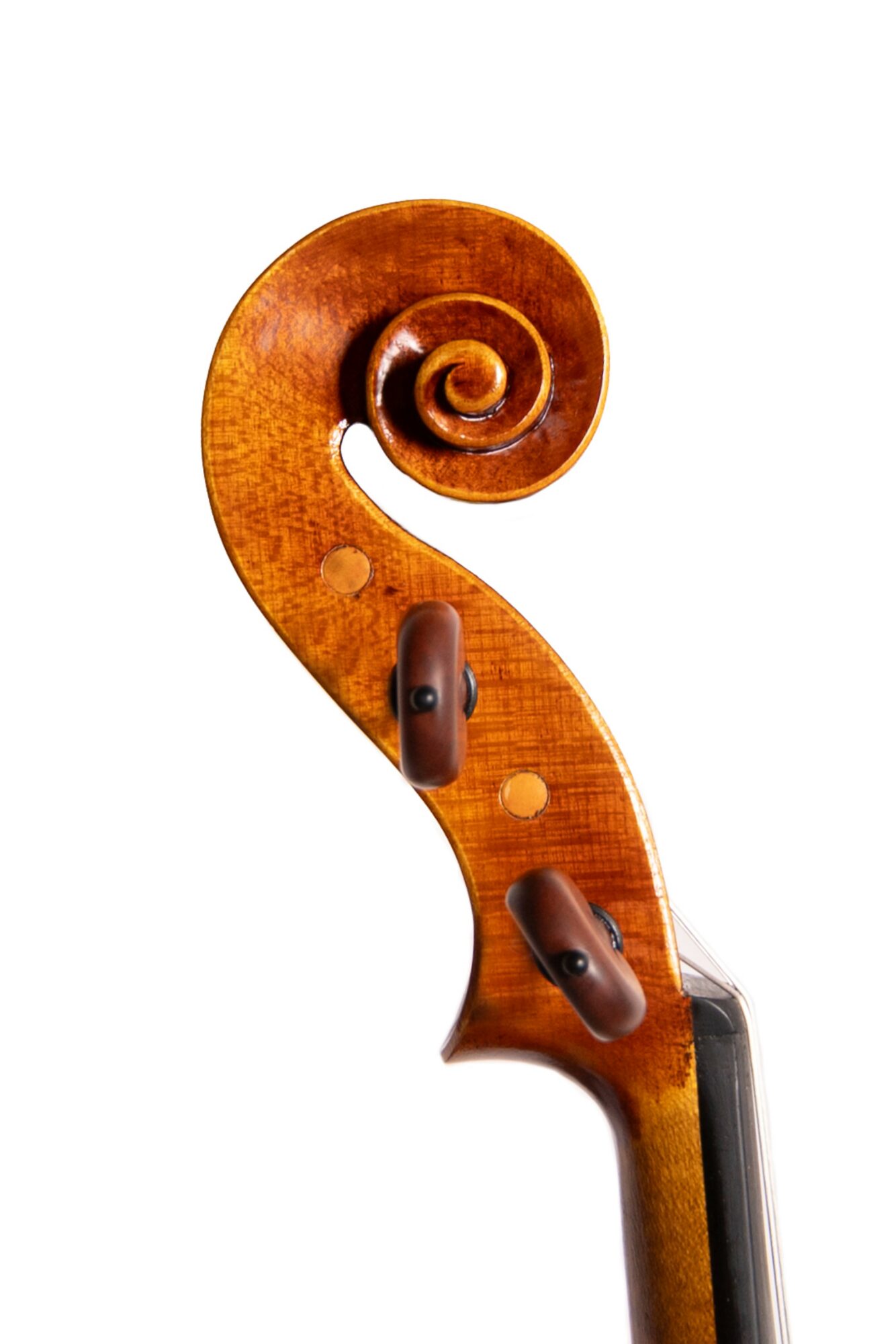 Close-up of a wooden violin scroll and pegbox, showing detailed craftsmanship and tuning pegs.