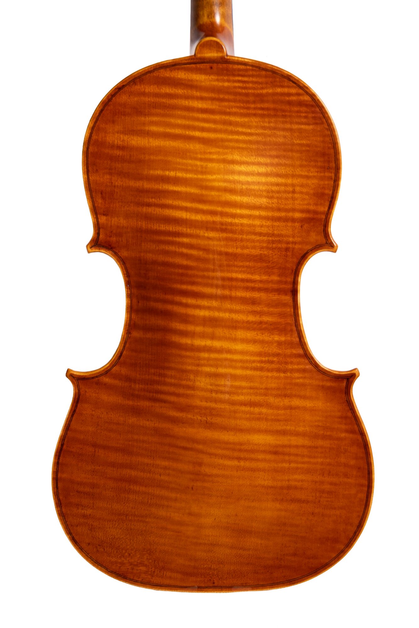 Back of a wooden violin with a glossy finish and visible wood grain, showing its shape and curves.