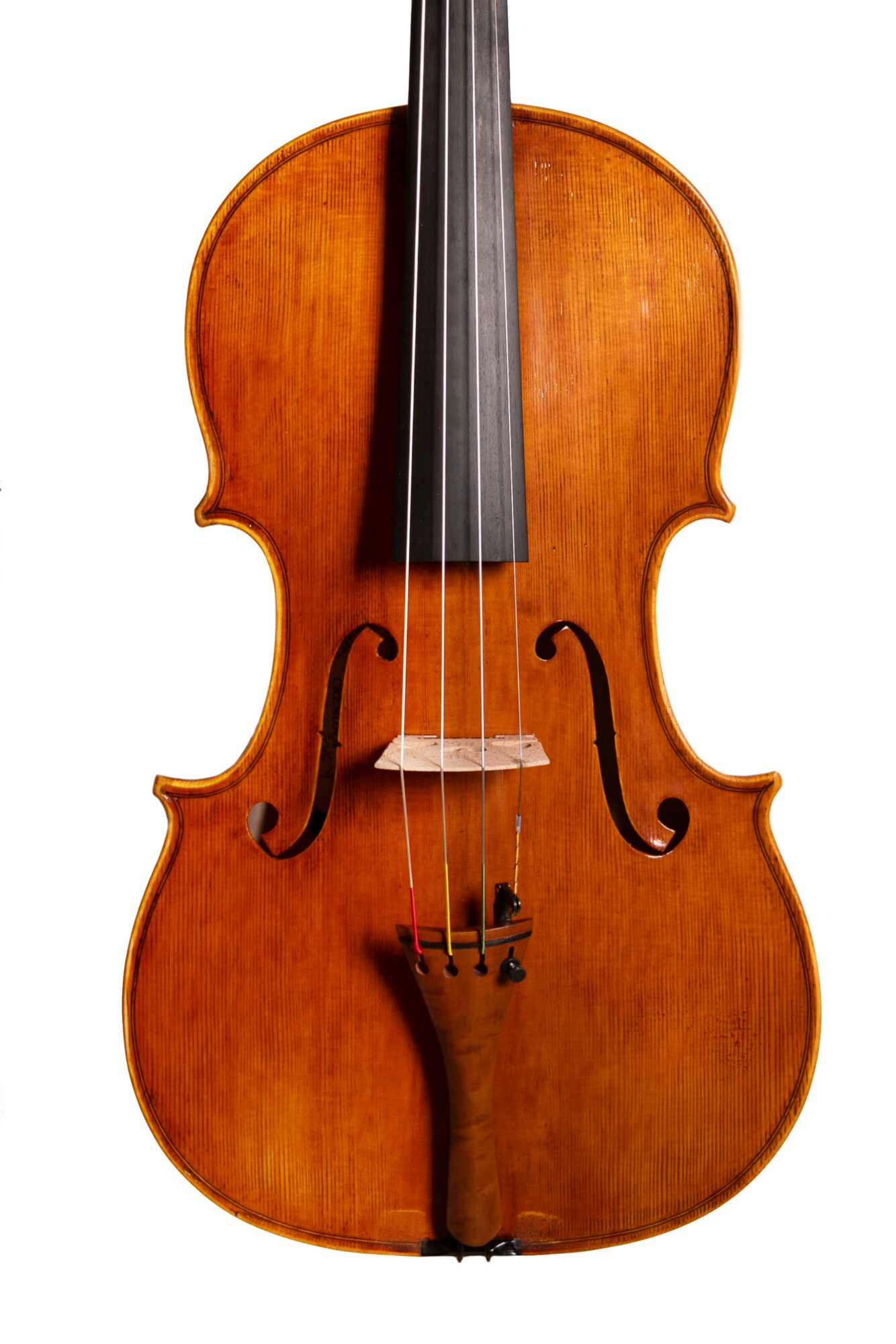 A wooden violin with a black fingerboard and strings, viewed frontally against a white background.