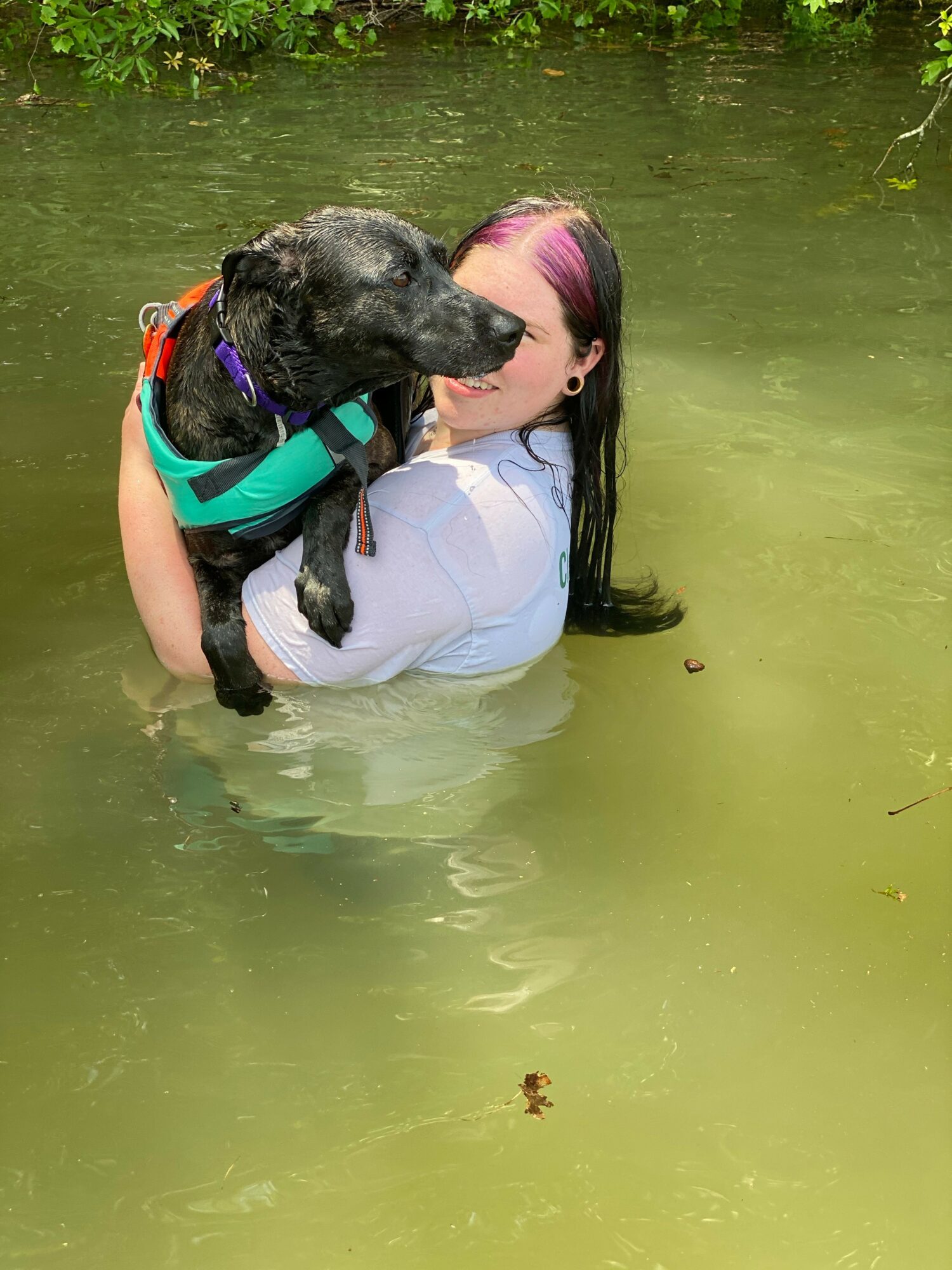 Person holding a black dog in water, with green foliage in background.