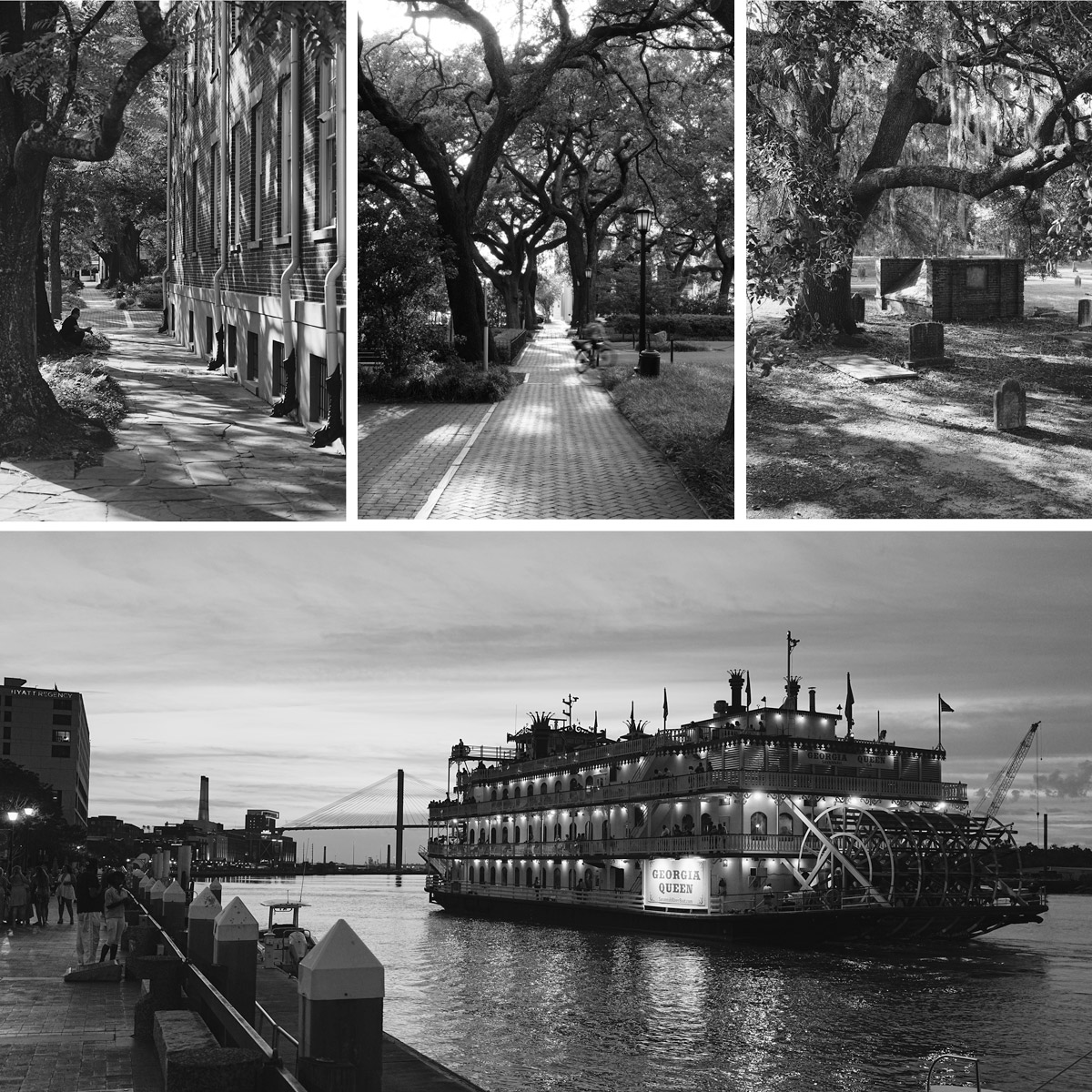 Three black and white images of trees and a park, with a large boat on water below, showing a dock and cityscape.