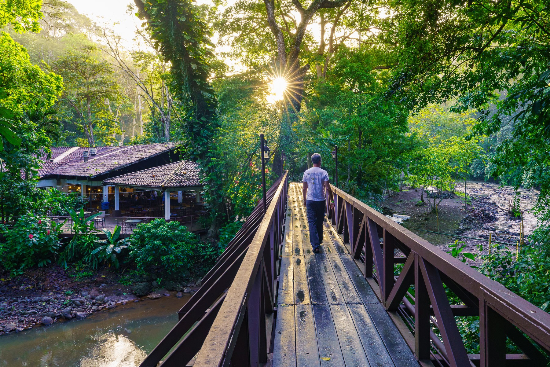 Person walking on a wooden bridge surrounded by lush green trees with sunlight shining through, in a natural setting.