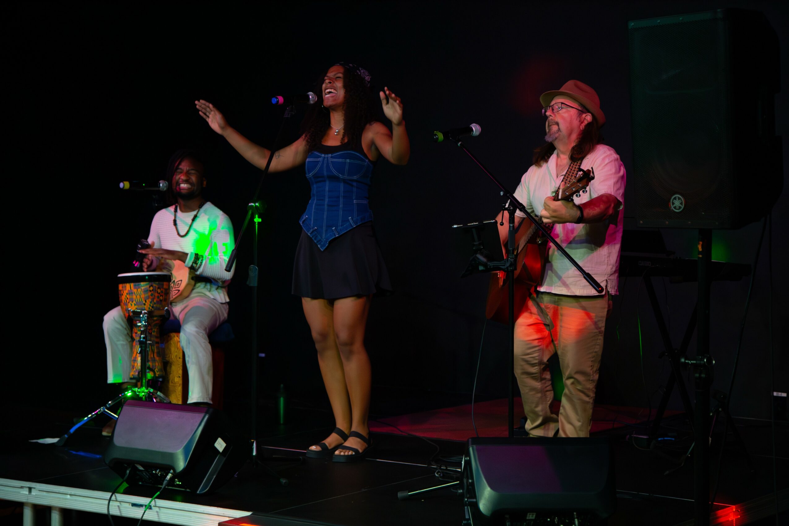 Three musicians perform on stage: a woman singing, a man playing guitar, and a person playing percussion, with dark background.