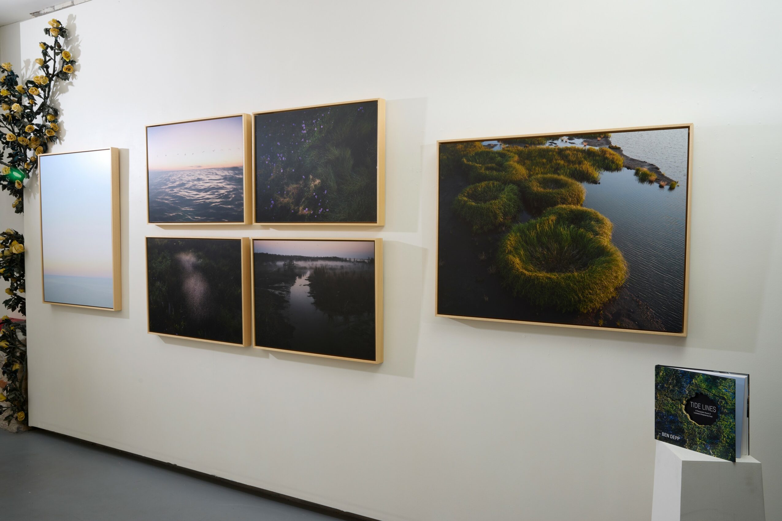 Gallery wall with six framed landscape photographs of water and nature scenes, arranged in two rows, with a small informational sign below.