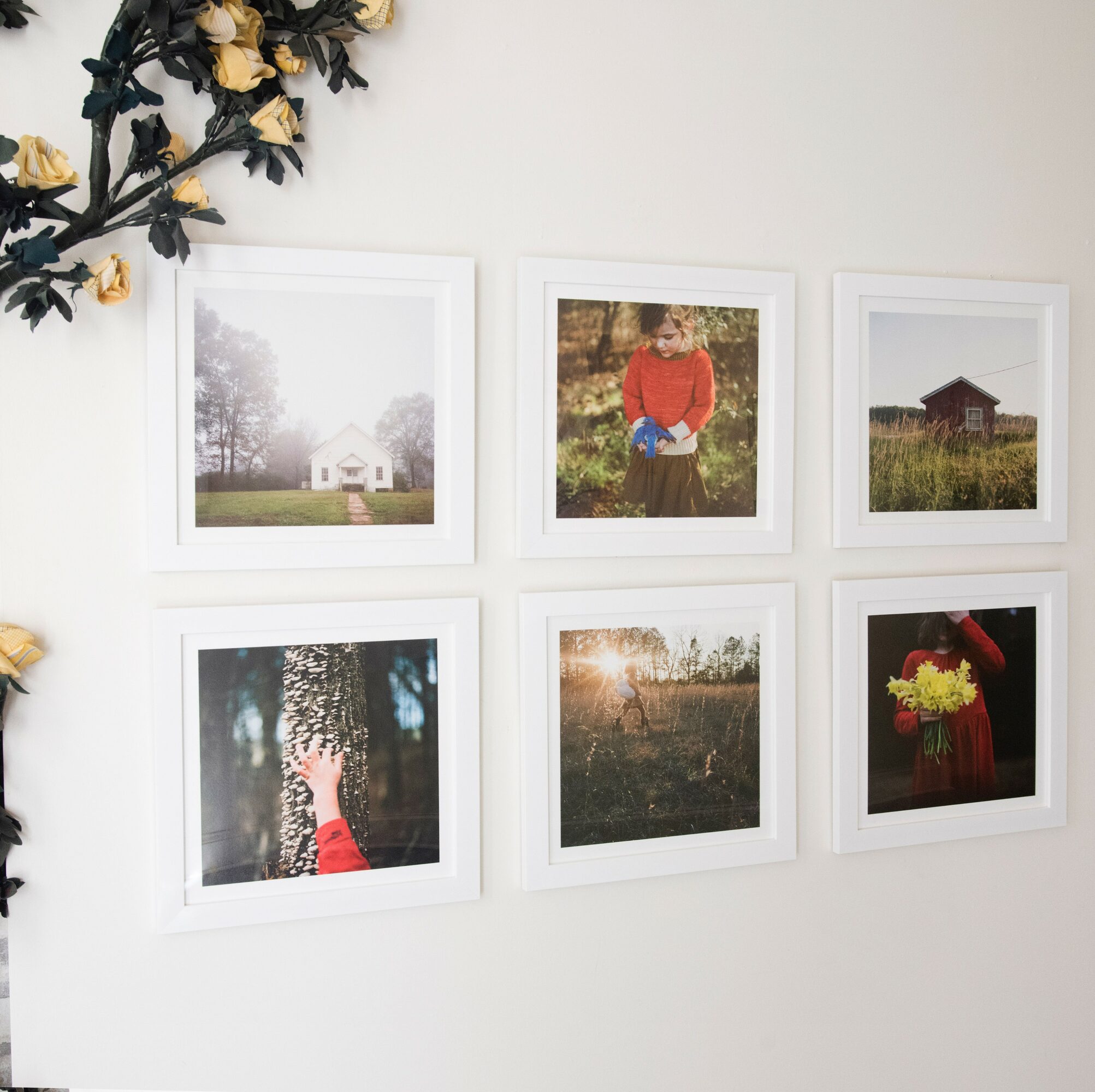 Six framed photographs on a white wall, with a branch of flowers in the top left corner.