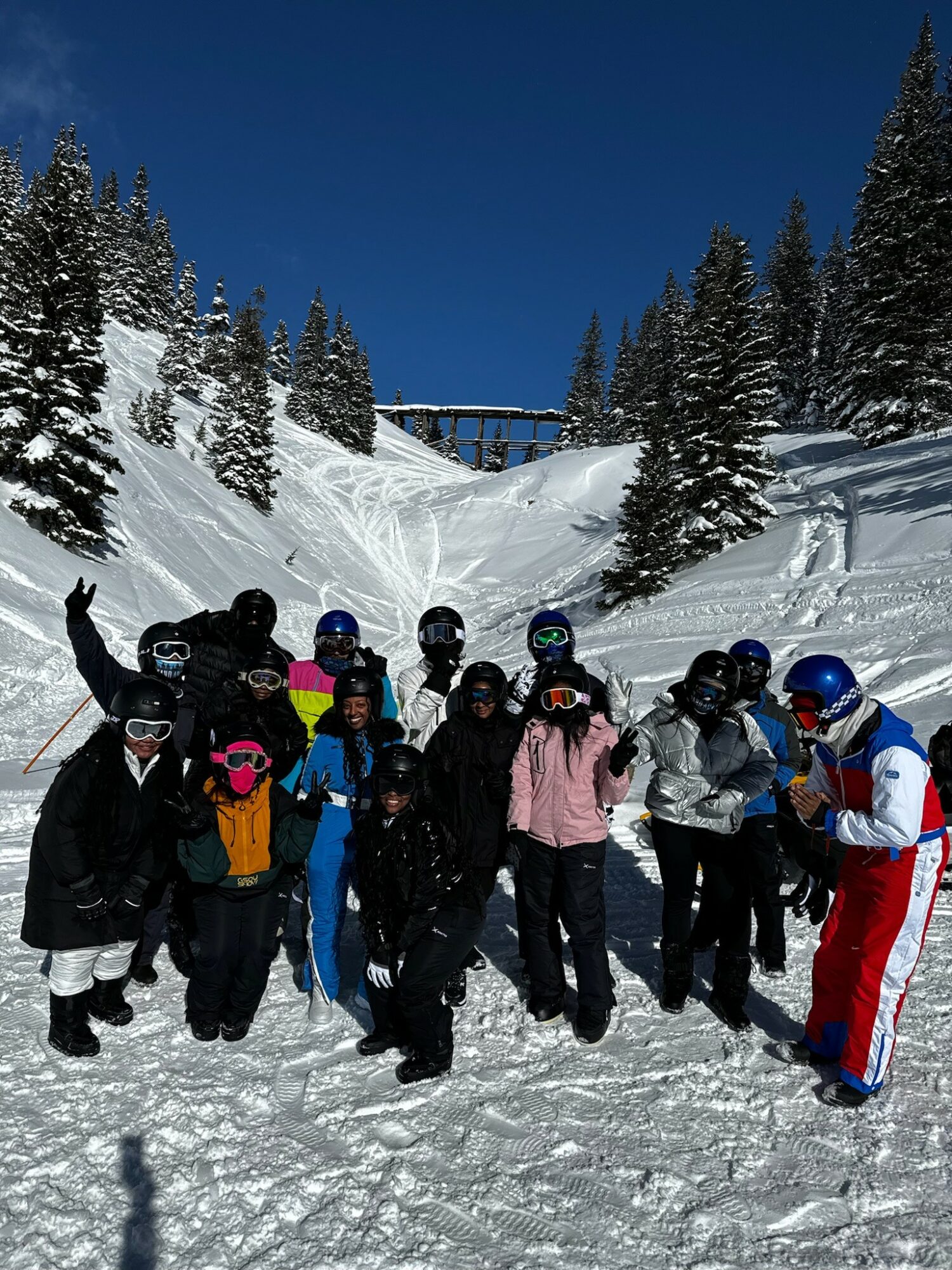 Group of people in winter clothing standing on snow-covered ground with snowy trees and a ski slope in the background.