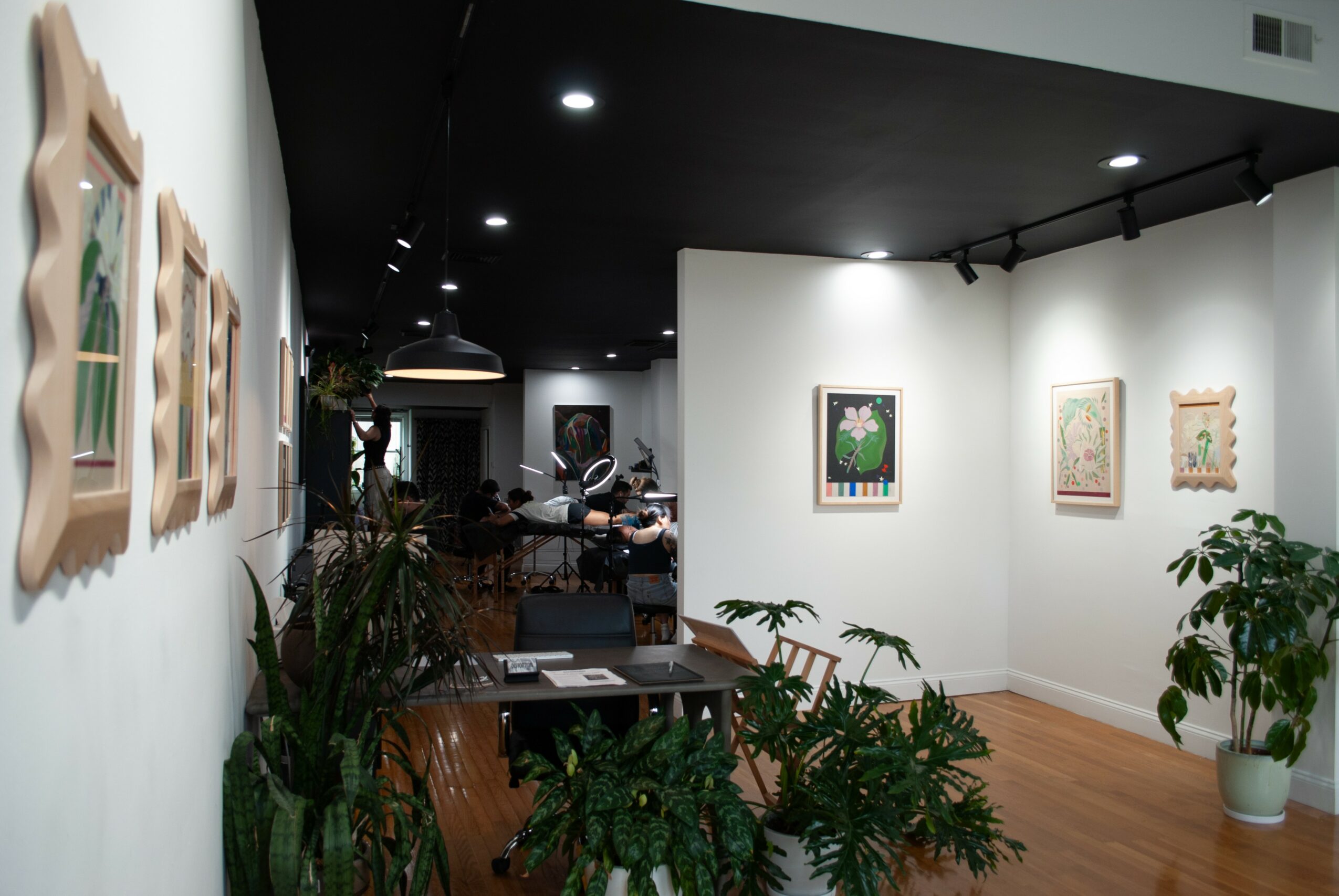 Art gallery with framed artworks on white walls, plants, and a wooden floor, illuminated by ceiling lights.