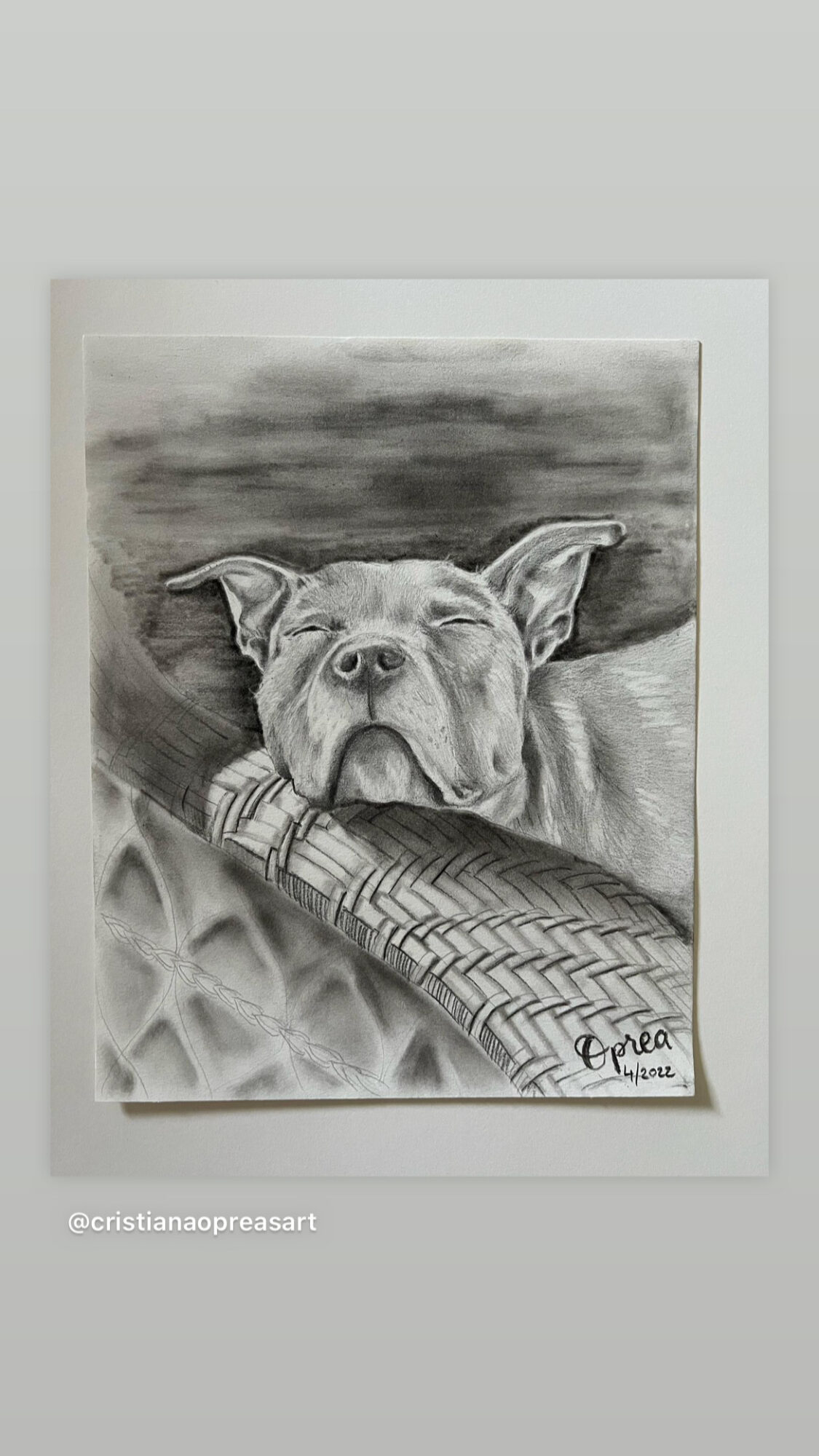 Black and white drawing of a dog resting its head on a patterned cushion, with a dark sky background.
