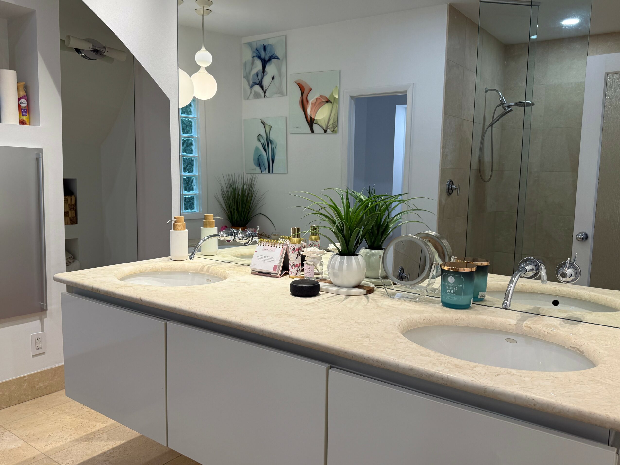 Bathroom with a large countertop, sink, and shower area, decorated with plants and artwork on the wall.