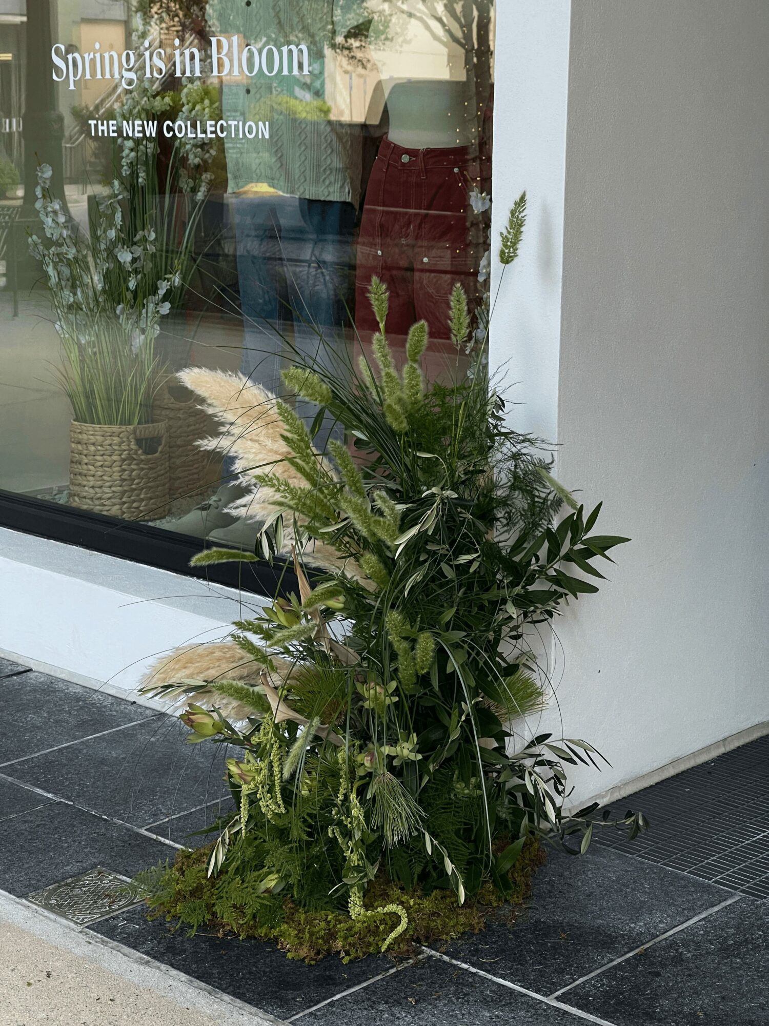 Potted plants with green foliage and tall grasses outside a window, with a reflection of clothing inside a store, on a black tiled surface.