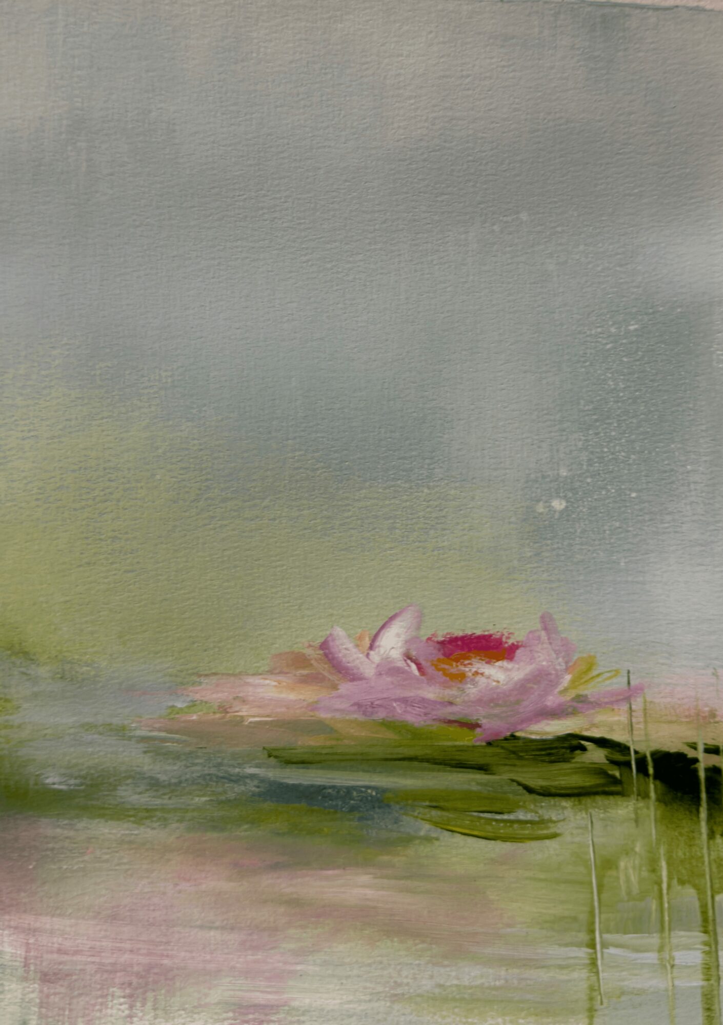 Pink water lily on green lily pads with a soft, blurred background, in a tranquil pond scene.