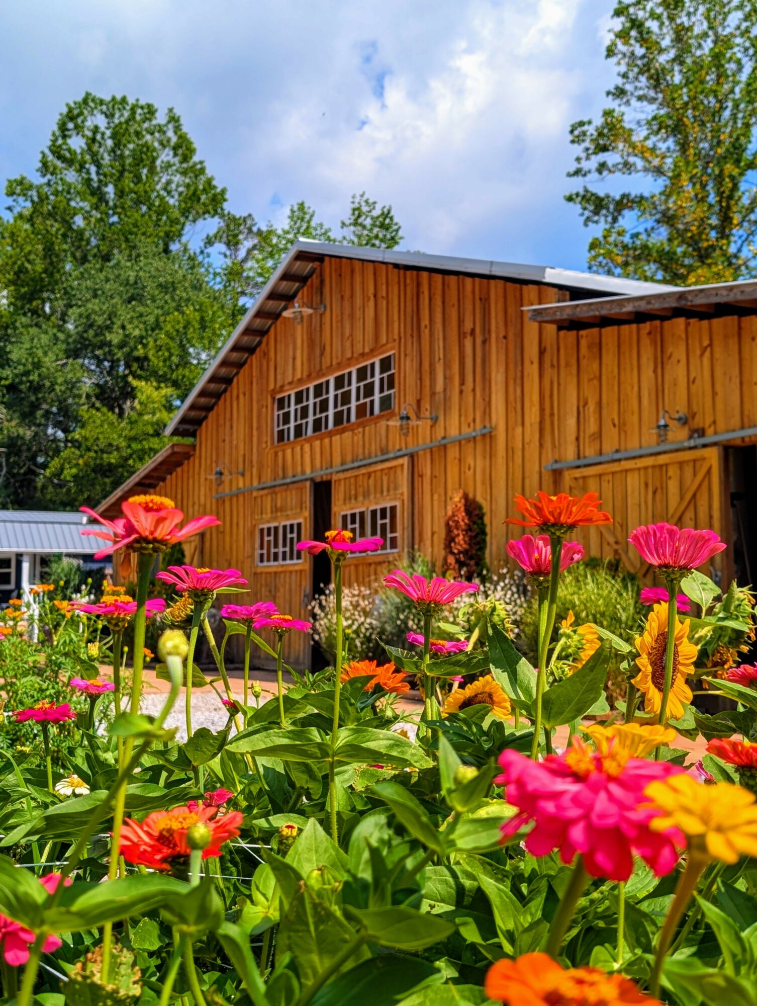 Colorful flowers in front of a wooden building with trees and a partly cloudy sky in the background.