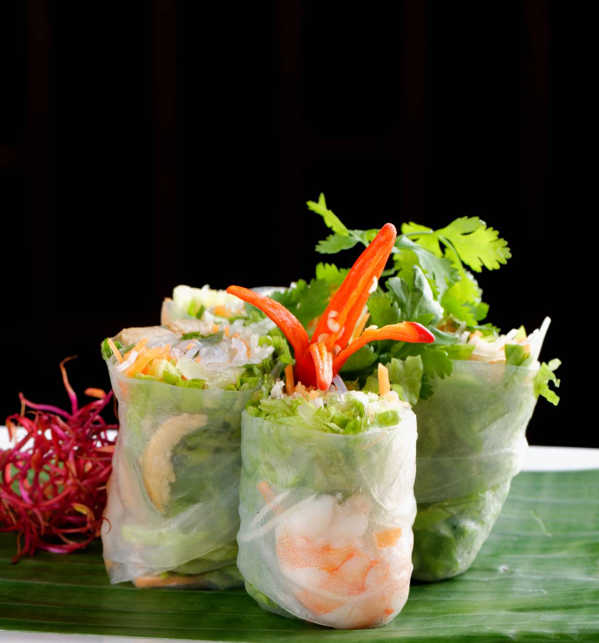 Four fresh spring rolls with vegetables and shrimp on a green surface, garnished with cilantro and red pepper, against a dark background.