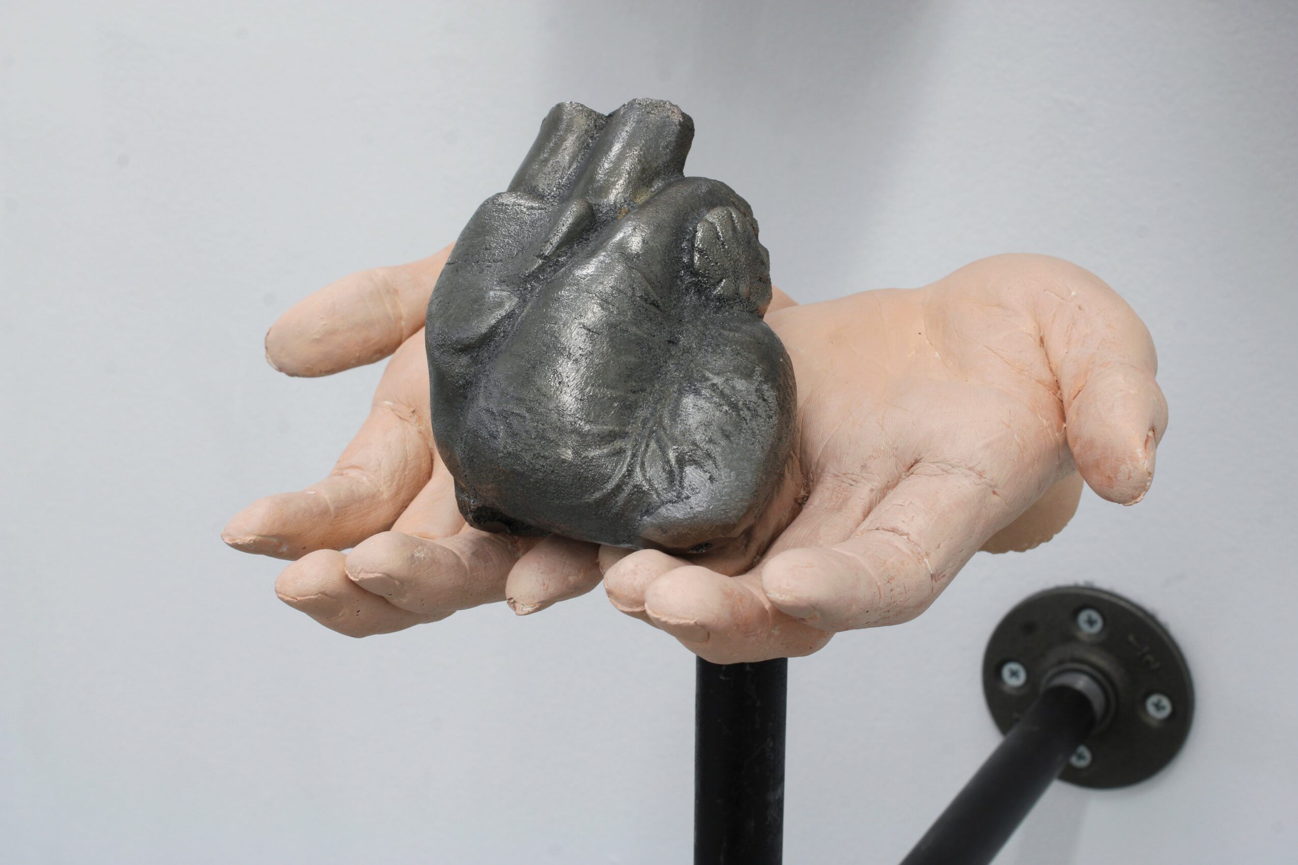 A realistic human heart model resting on an open hand, with a wall and a black stand in the background.