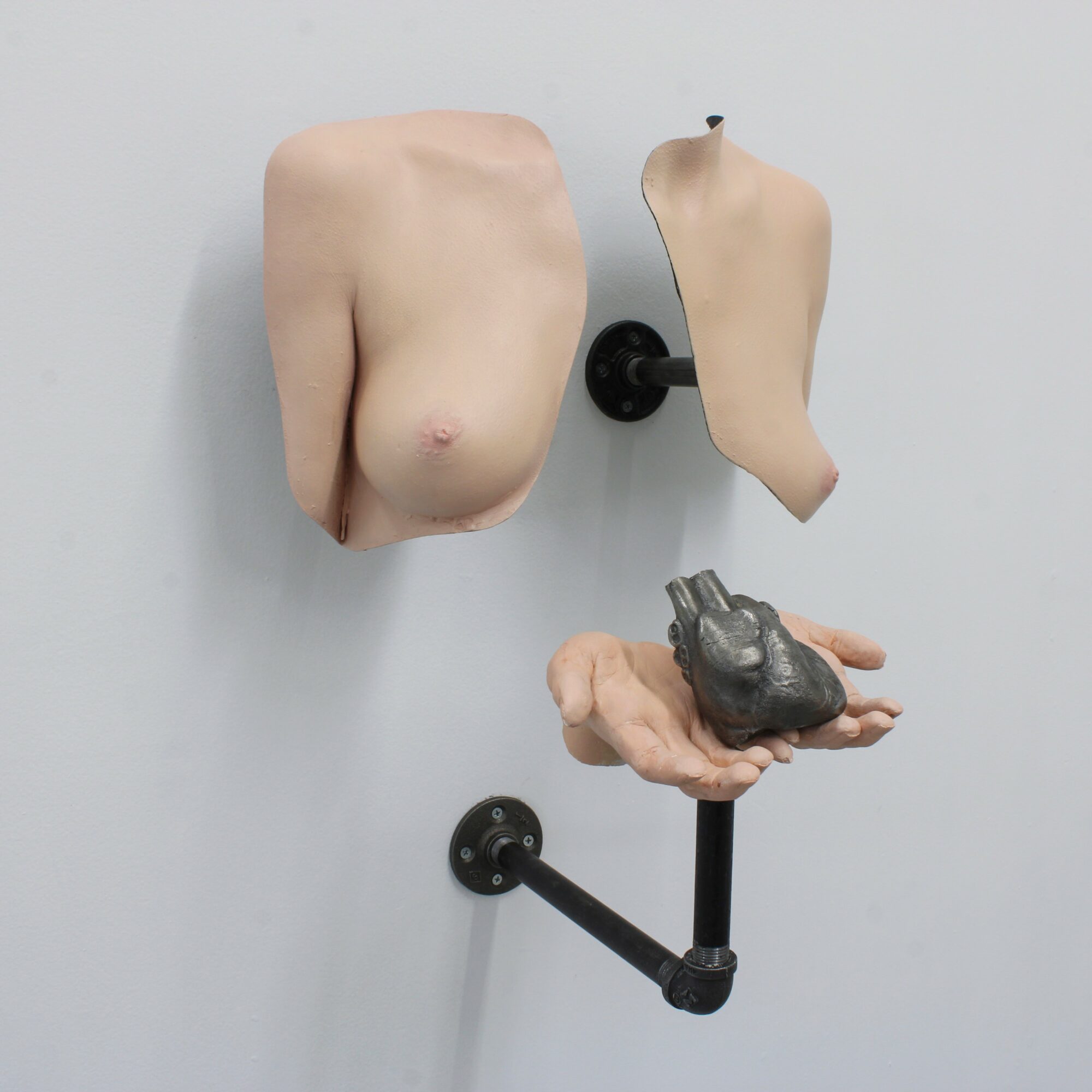 Three sculptures: a torso with a breast, a detached arm, and a hand holding a small animal, mounted on a wall.