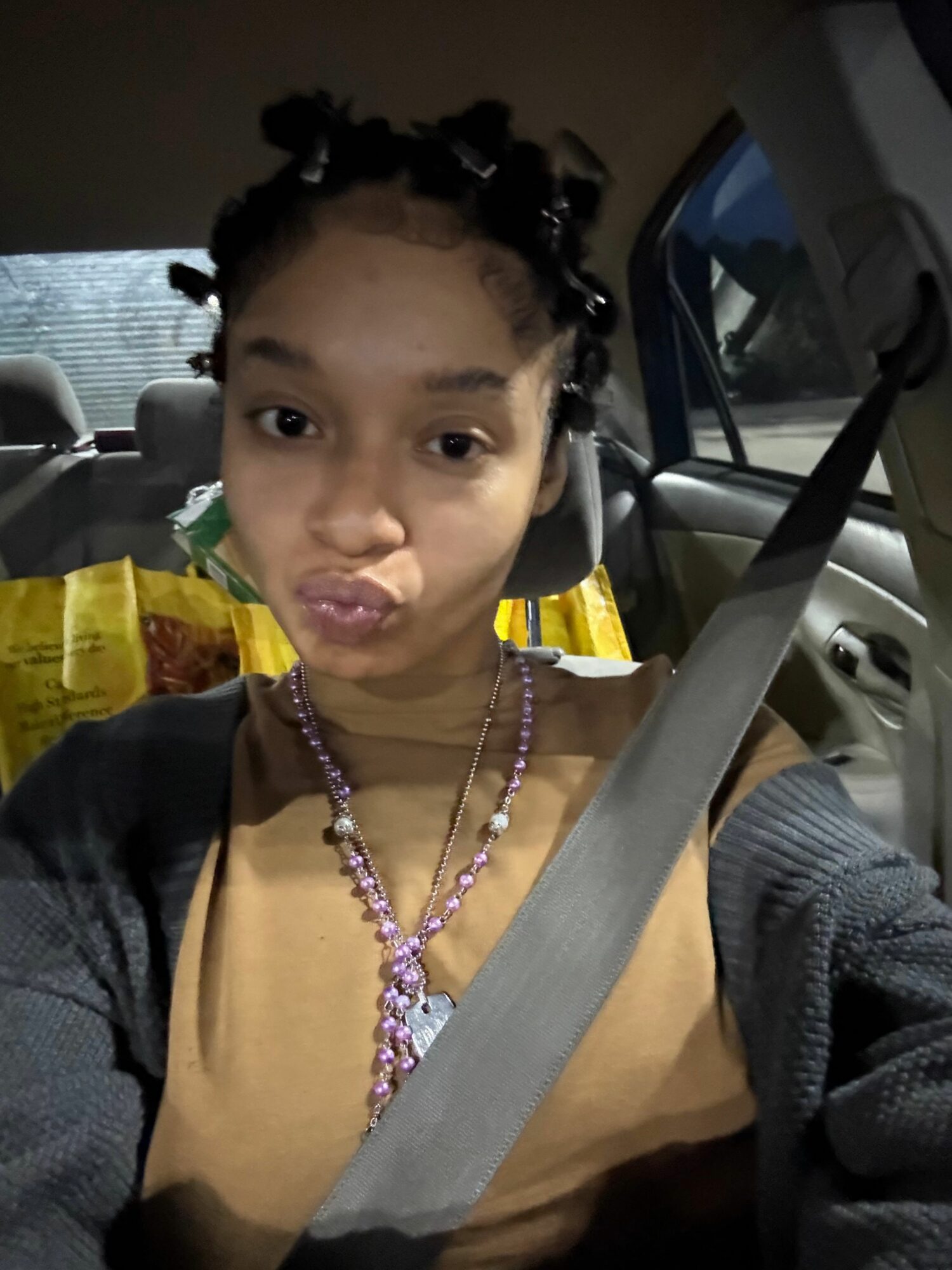 Young girl with braided hair and a necklace sitting in a car, wearing a brown top and a seatbelt.