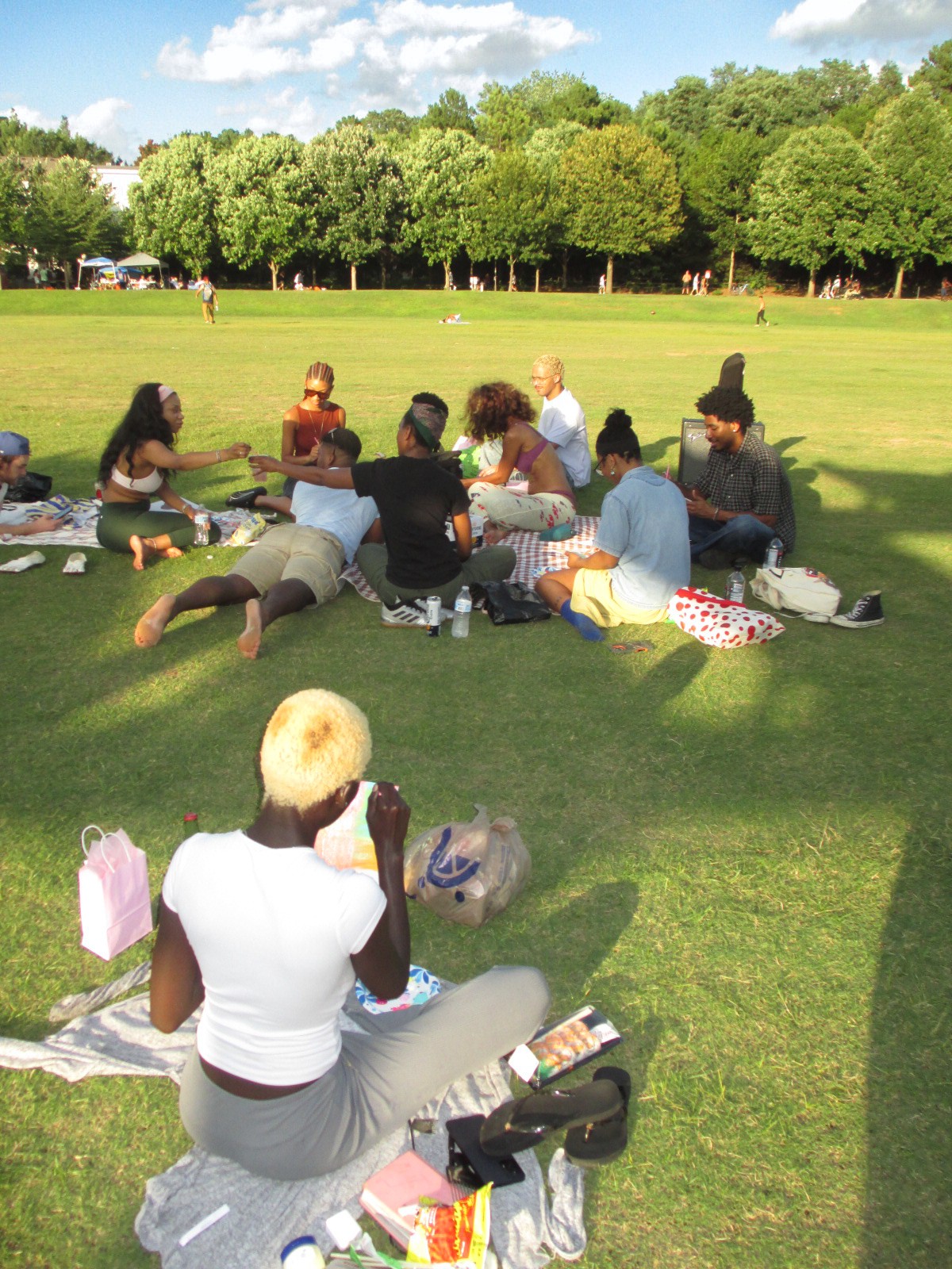 Group of people sitting on grass in a park, some lying down, with trees and blue sky in background.