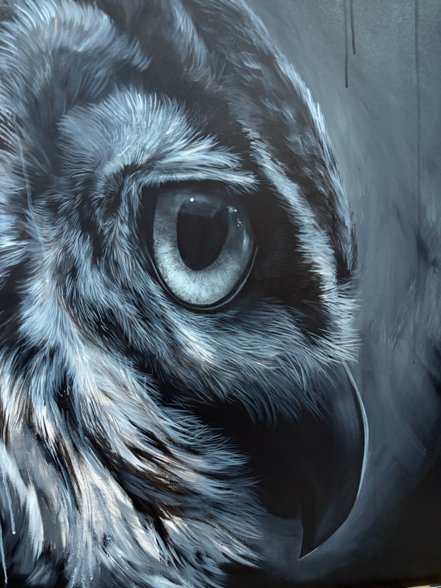 Close-up of an owl's eye and part of its beak, showing detailed feathers and sharp features.