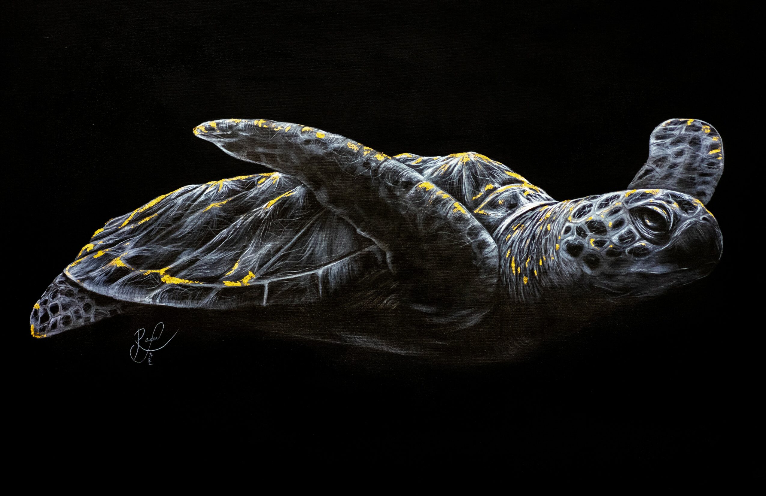 Sea turtle swimming with flippers extended, dark background, detailed shell and head, yellow markings, realistic depiction.