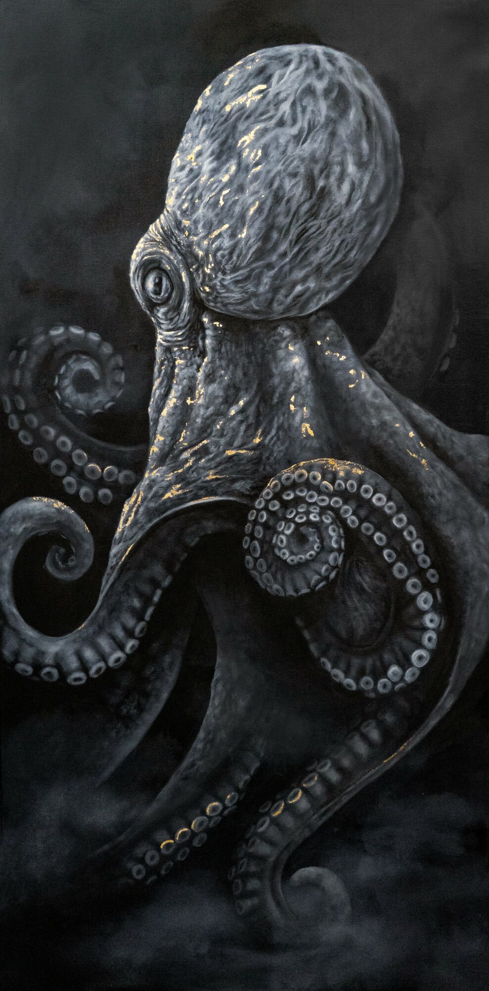 Octopus with a large head and tentacles extending downward, set against a dark background.