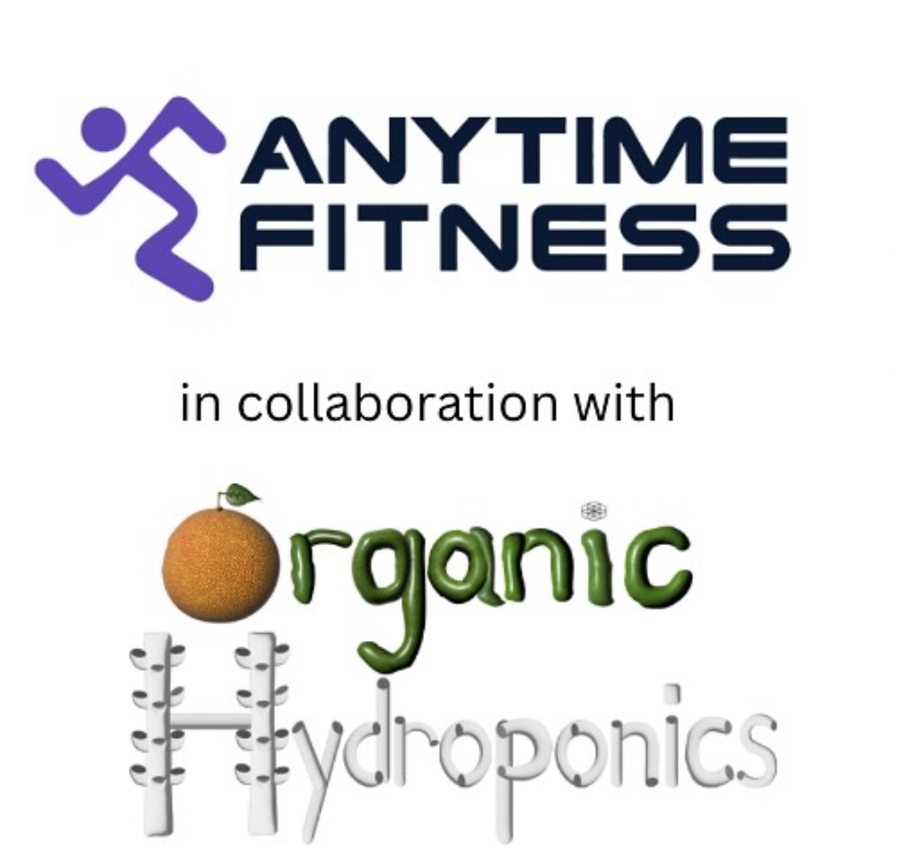 Logo with a purple running figure, text 'ANYTIME FITNESS', and collaboration with 'organic hydroponics' featuring an orange and plant-themed text.