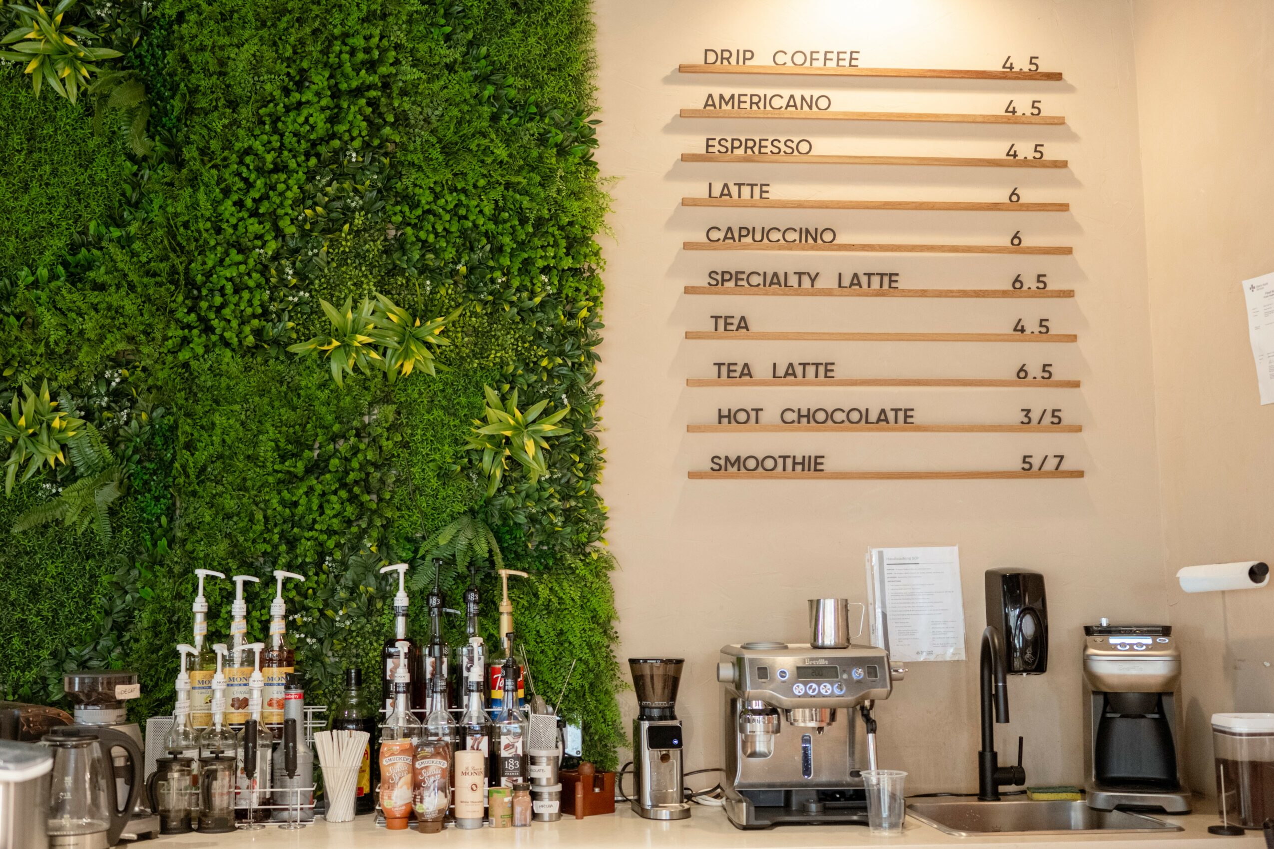 Coffee menu on wall with green plant and coffee machines below, in a cafe setting.