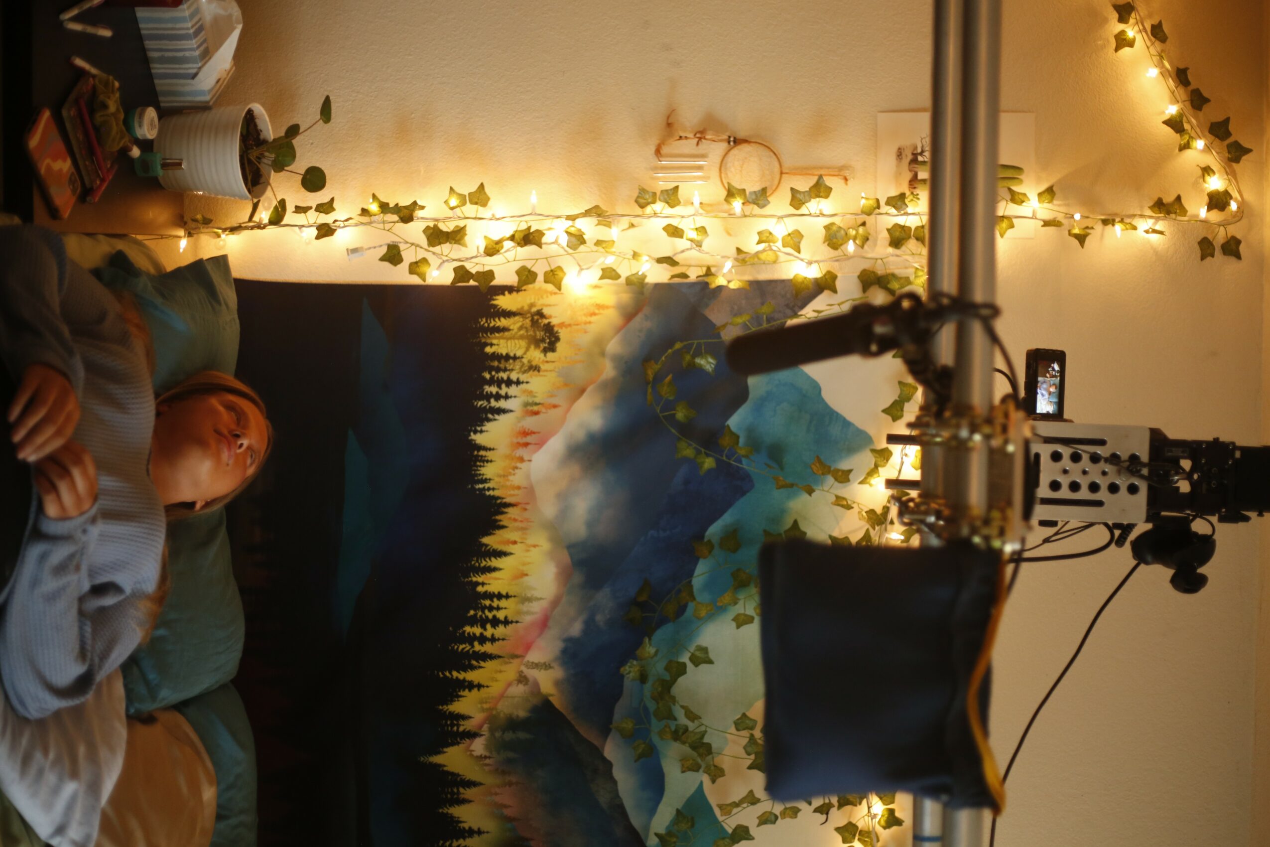 Person sitting on a couch with a colorful abstract painting behind them, decorated with string lights and plants, in a cozy room.