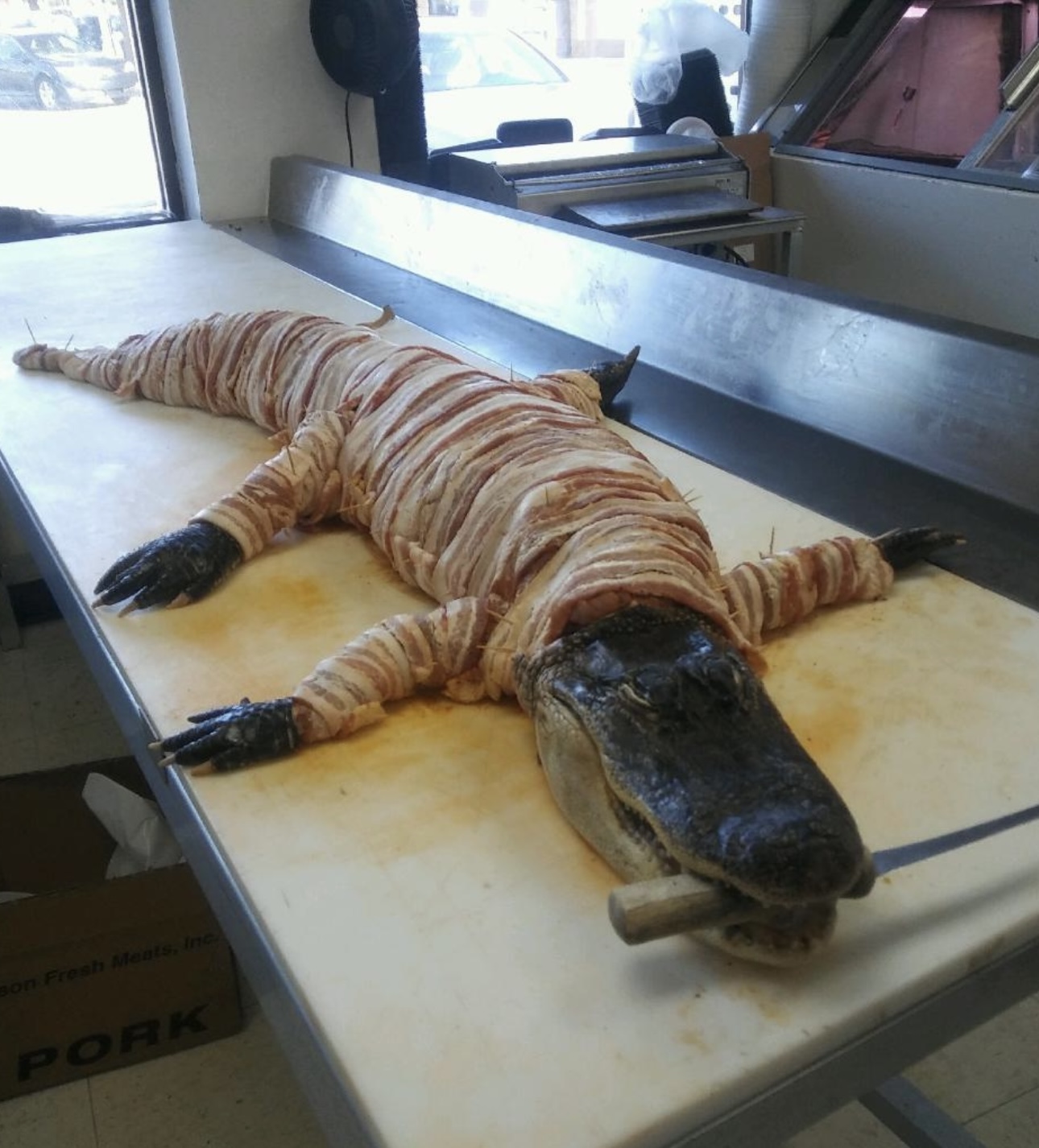 A crocodile lying on a table, wearing a striped shirt, with its head resting on the surface.