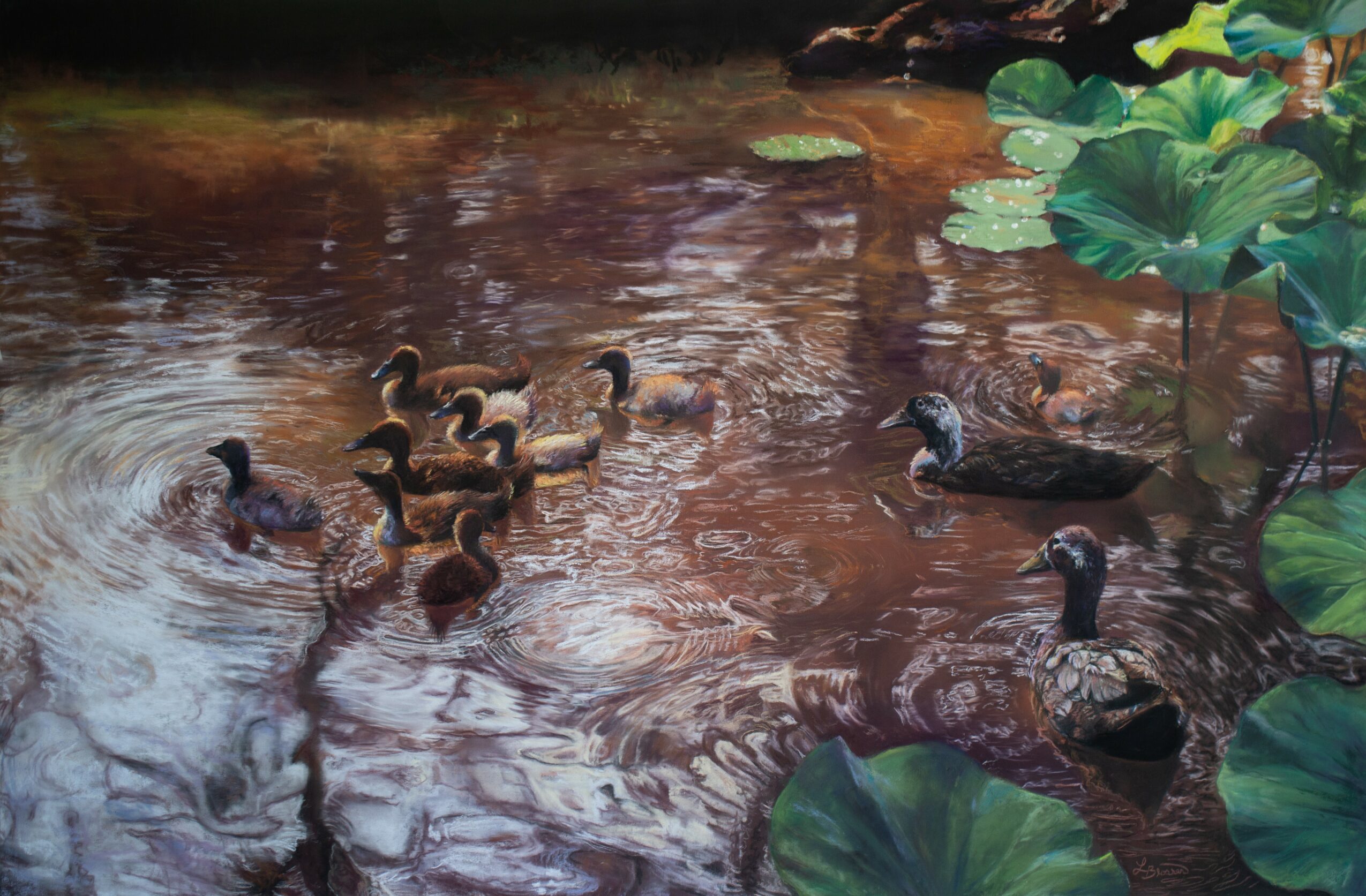 Ducks swimming in a pond with water lilies and large green leaves, reflecting surrounding foliage.
