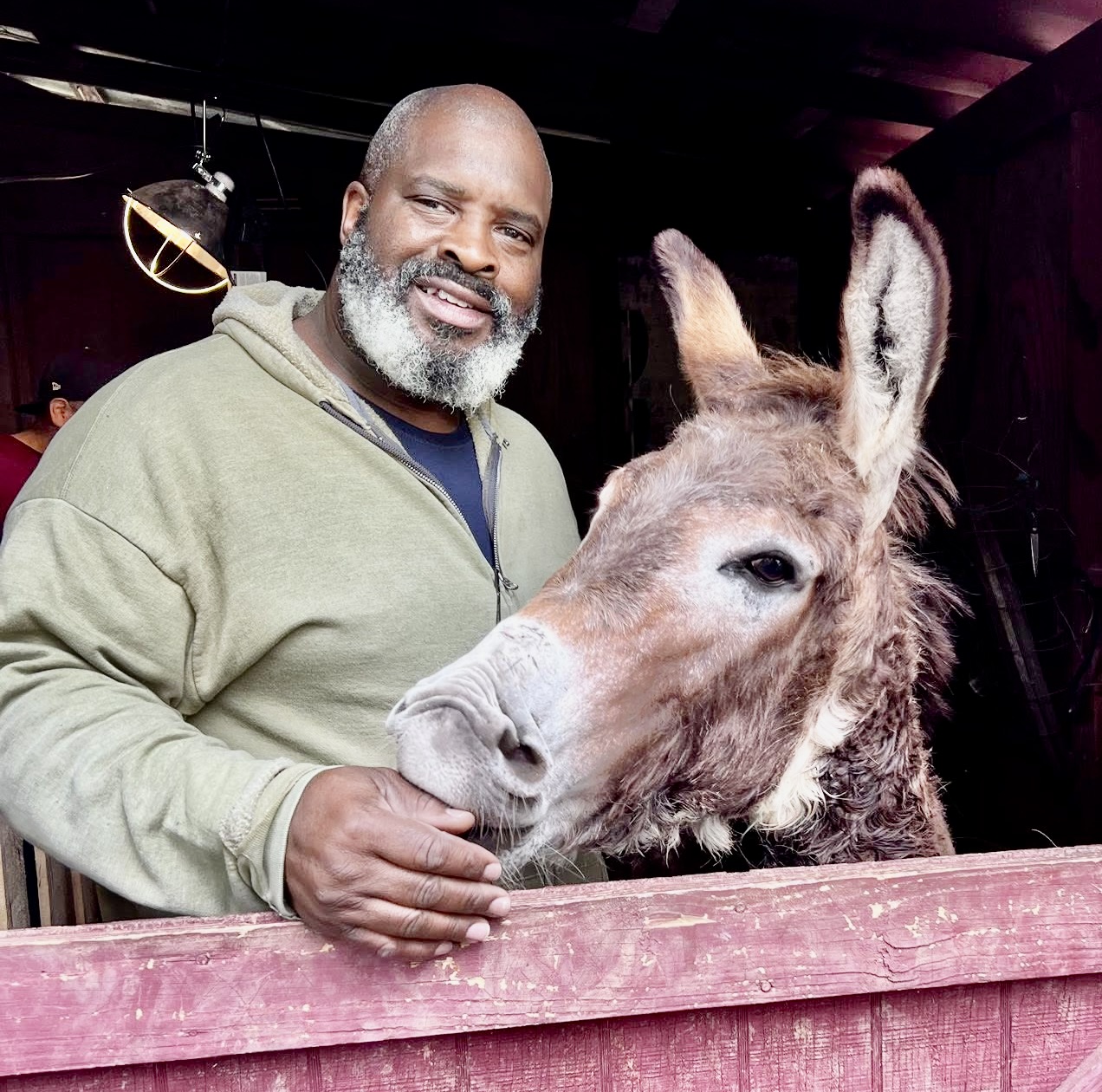 Man with gray beard smiling, holding a donkey's head over a red wooden fence indoors.
