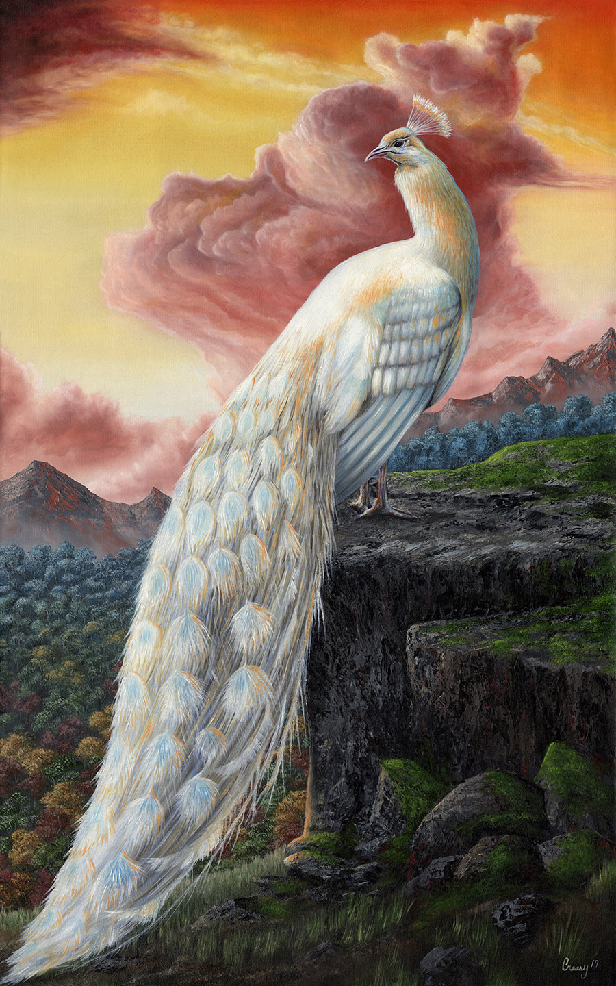 A white peacock with a long, flowing tail stands on a rocky ledge against a colorful sunset sky with clouds and mountains.