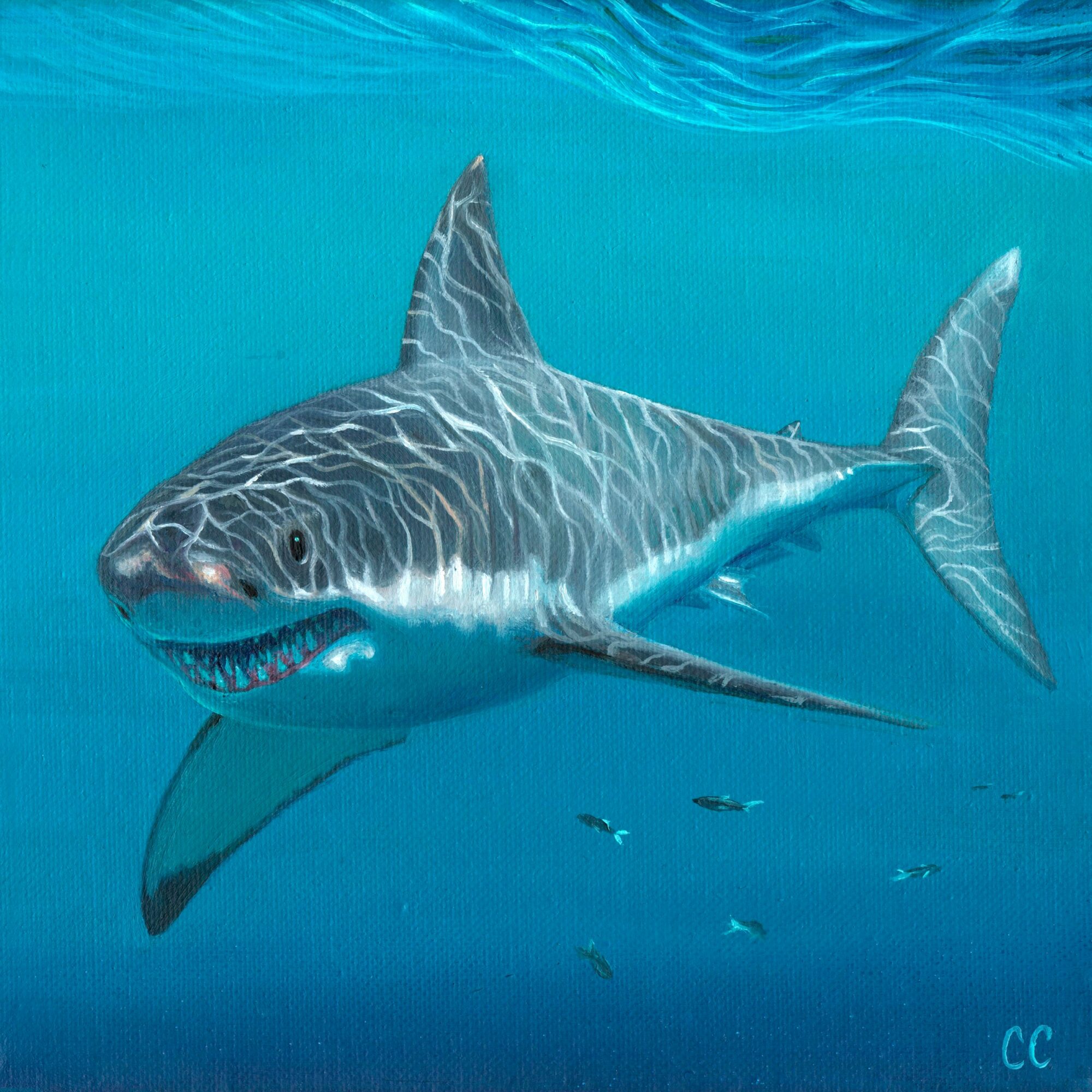 Great white shark swimming underwater with smaller fish nearby, blue ocean background, detailed shark features.