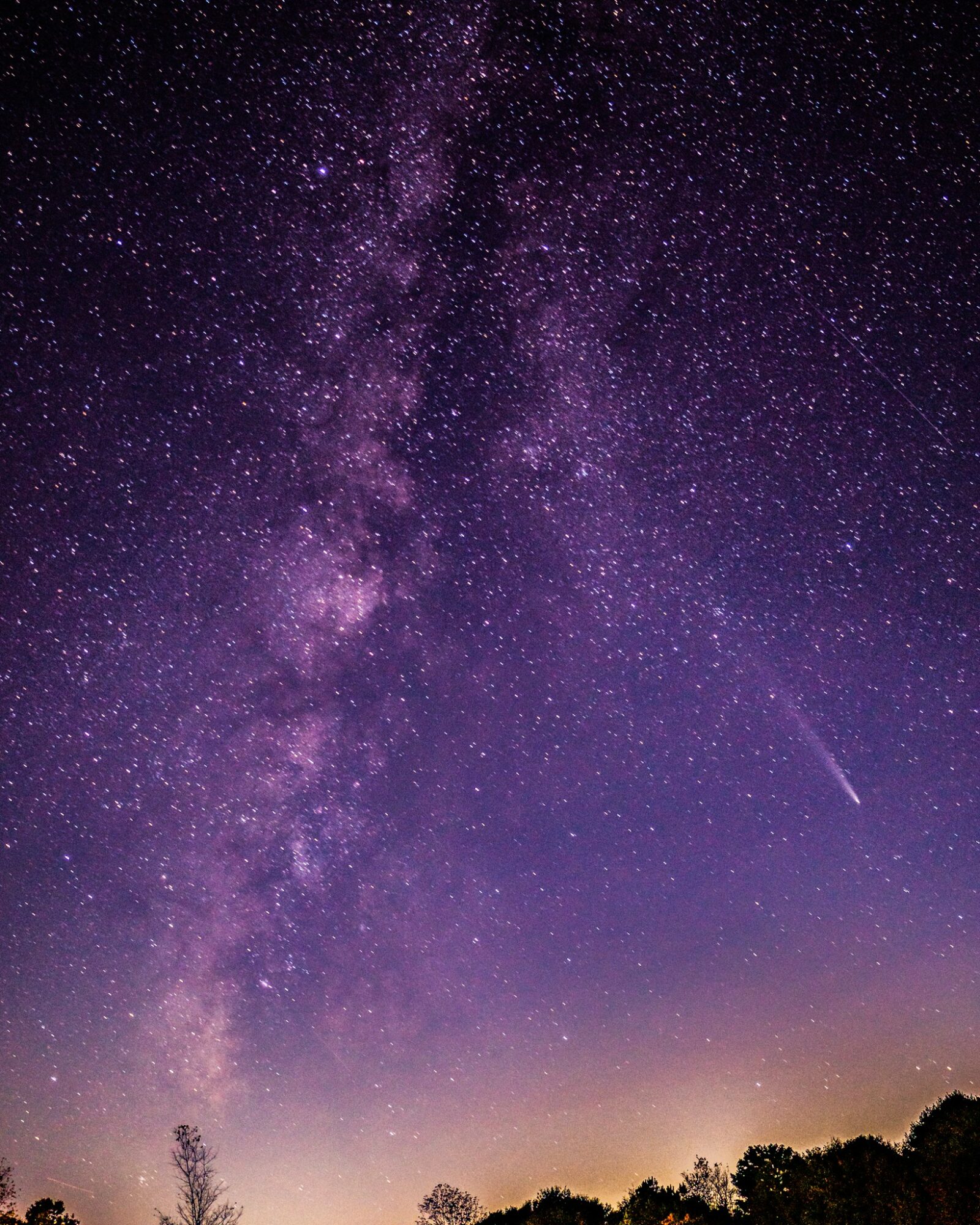 Night sky filled with stars and the Milky Way galaxy, with a shooting star and silhouettes of trees at the bottom.