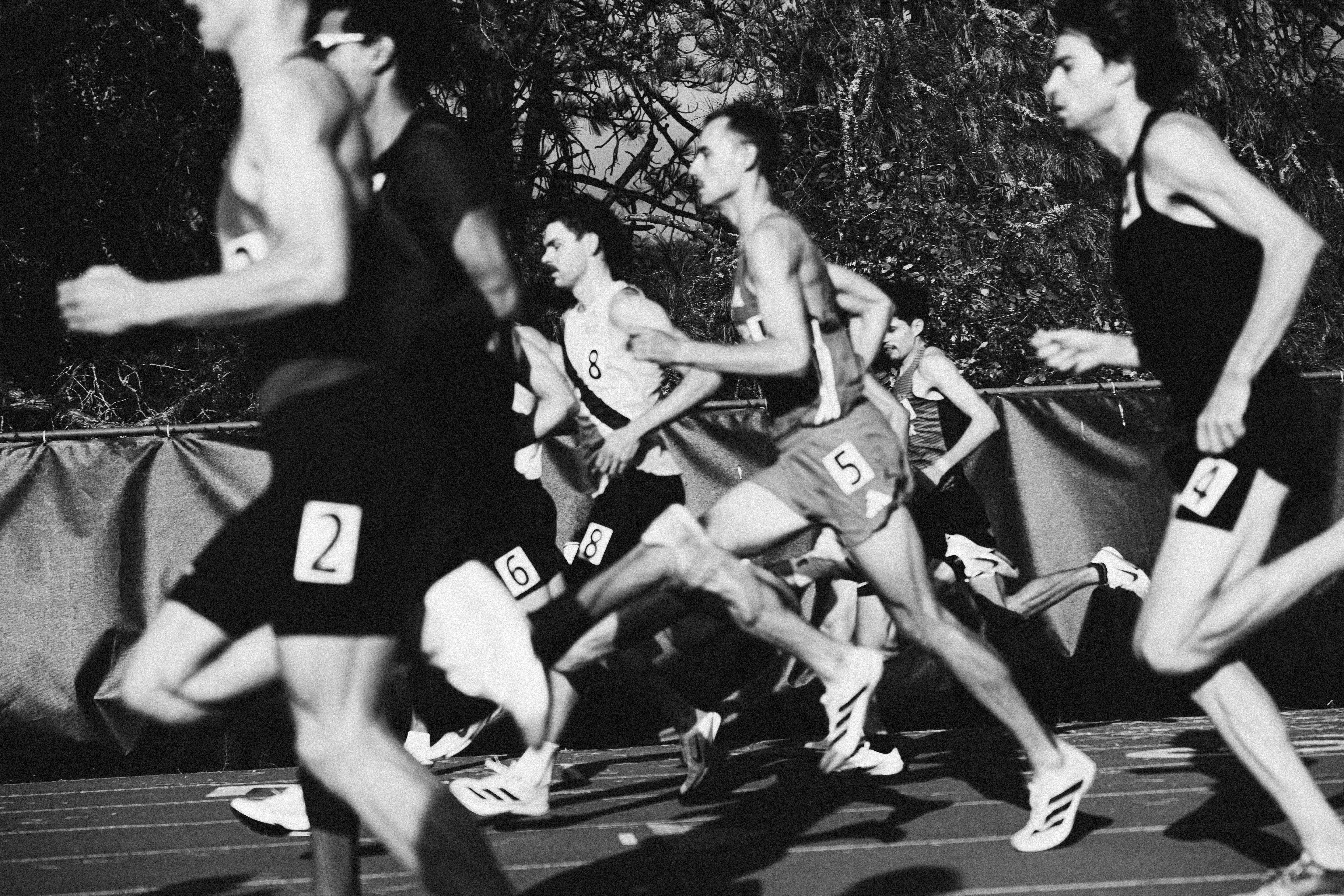 Group of runners in a race, mid-stride, outdoors with trees and a fence in background.
