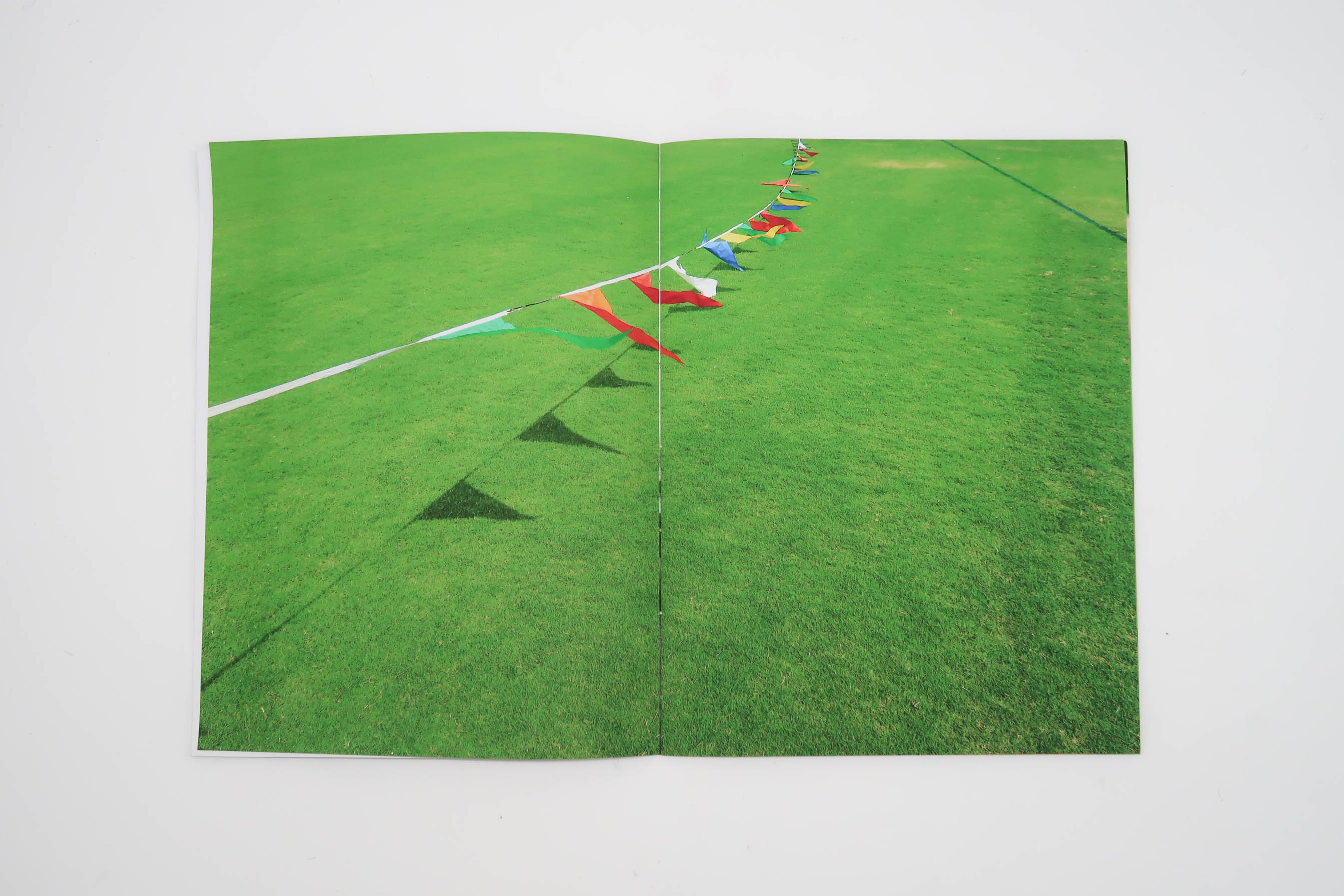 Green sports field with cones and flags arranged in a line, viewed from above.