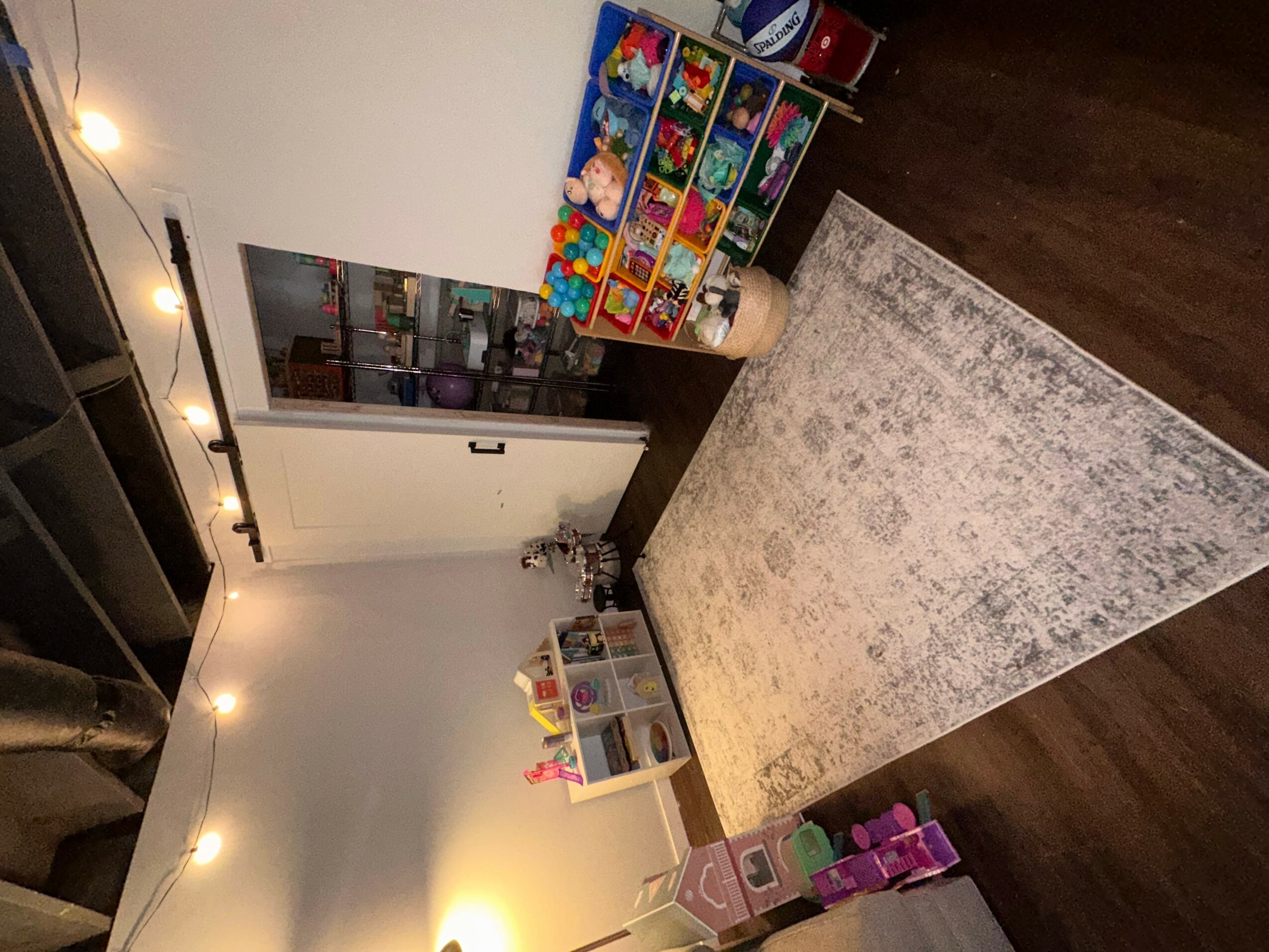 Room with toy storage, a rug, and a small shelf, viewed from the side with dark wood flooring.