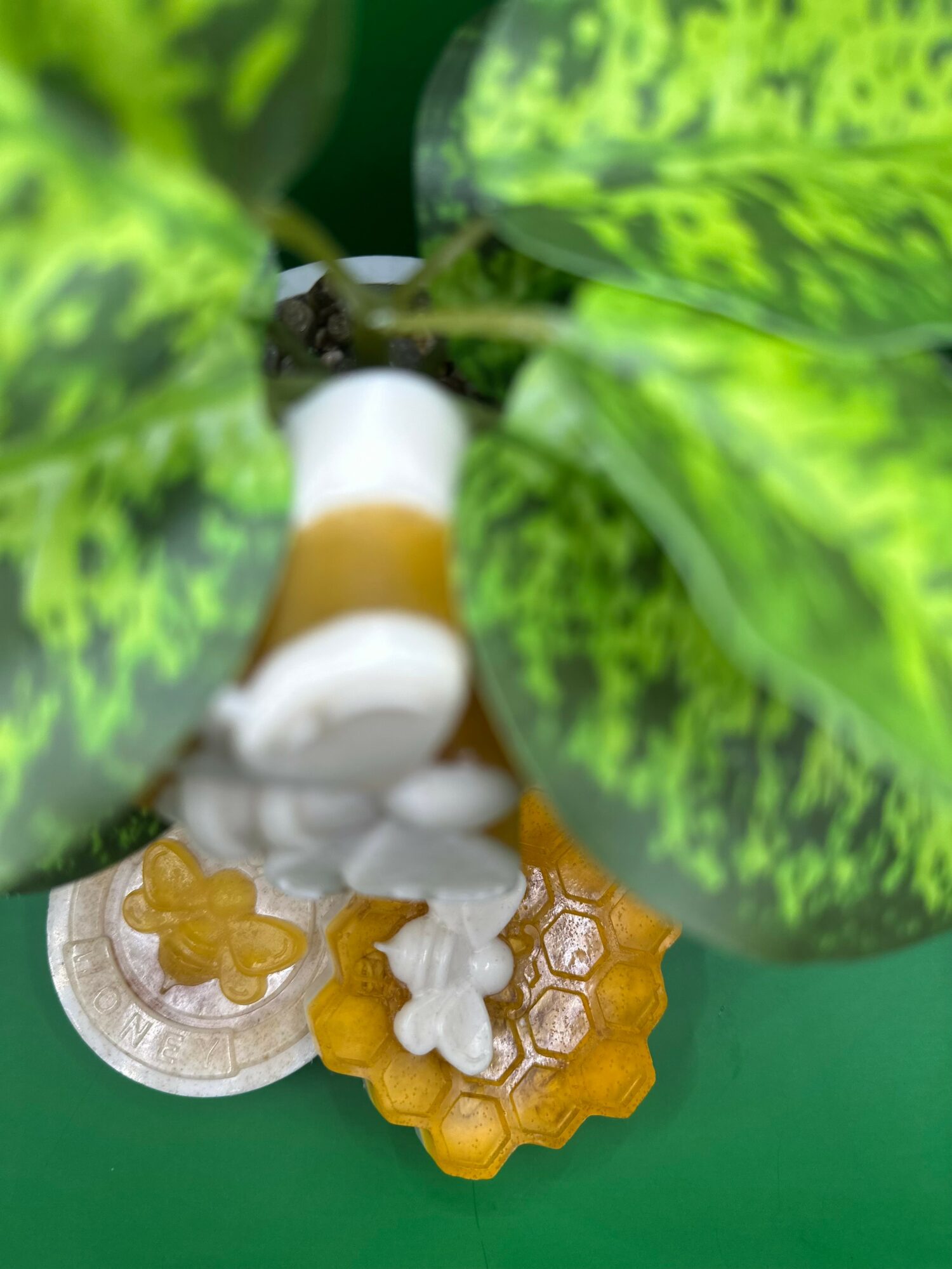 A bee on a honeycomb surrounded by green leaves, with a white and brown object nearby.