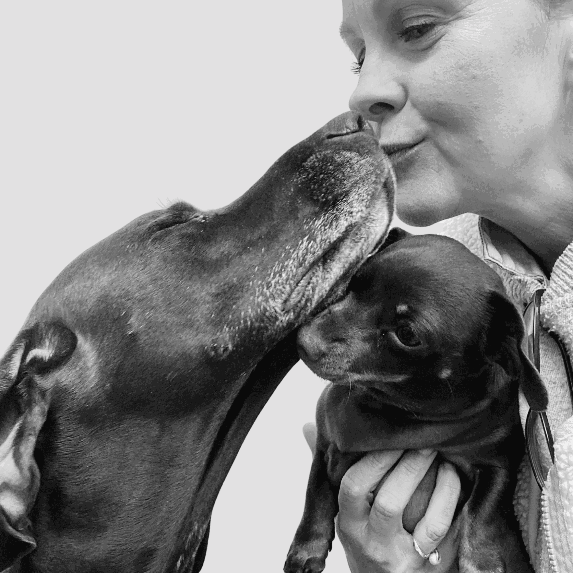 Person holding two puppies, one licking the person's face, in black and white.