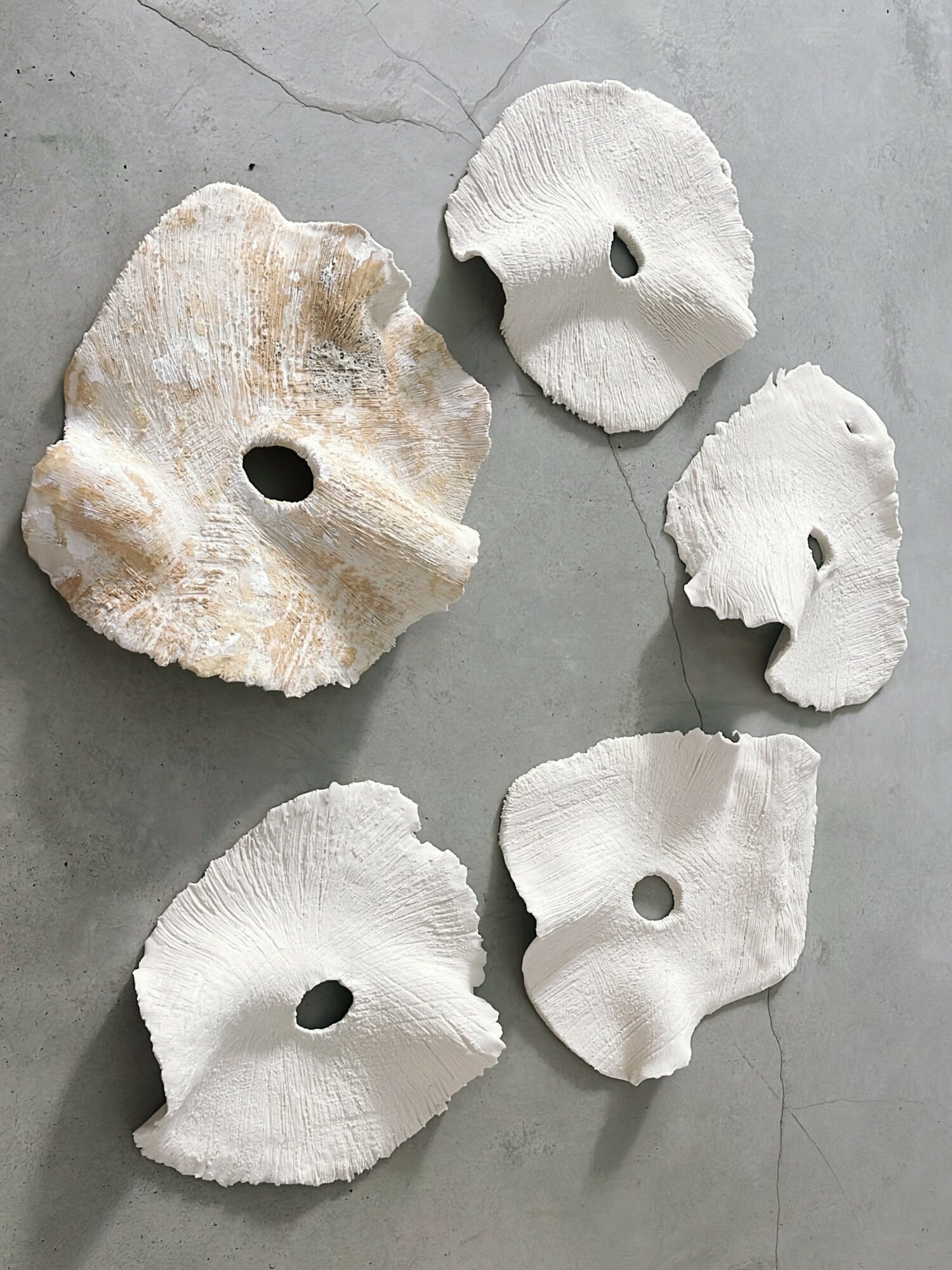 Six white coral pieces with holes, arranged on a gray surface, varying in size and shape.