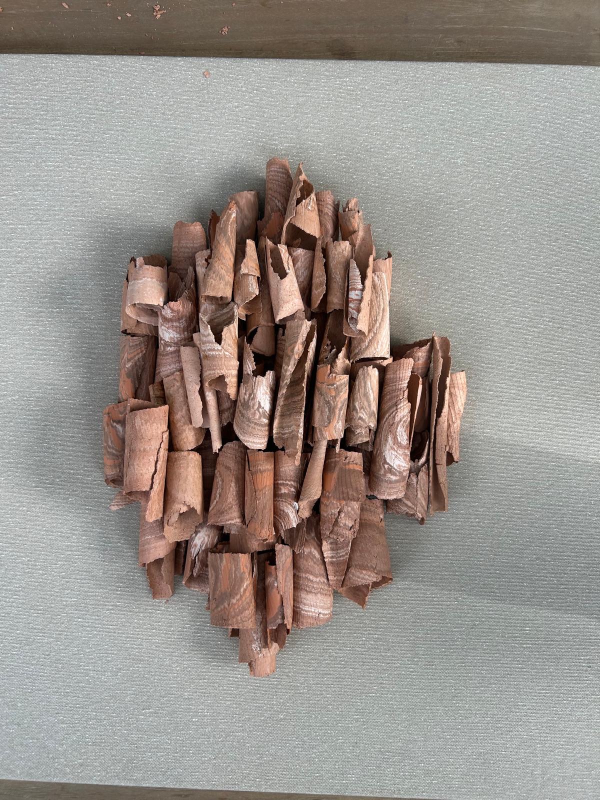A cluster of small, curled wood shavings arranged on a flat surface.