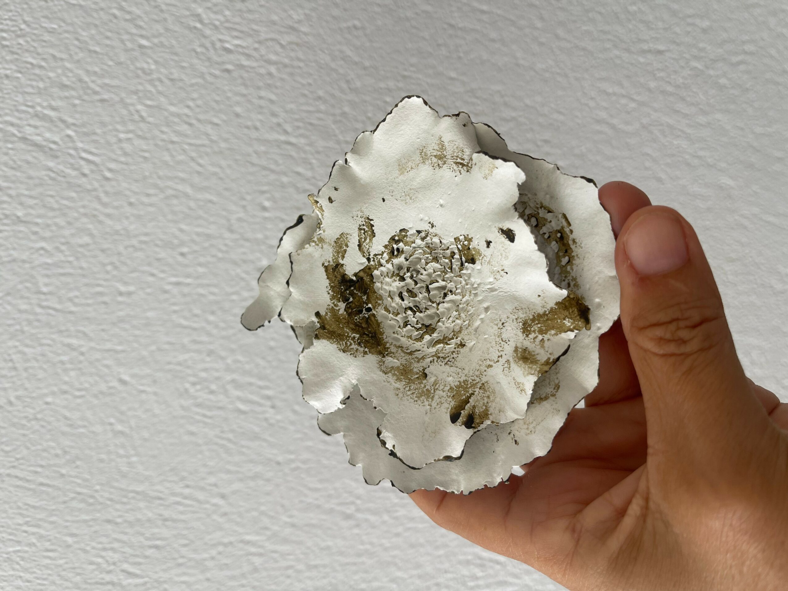 Hand holding a white, irregularly shaped object with a textured surface against a plain wall.