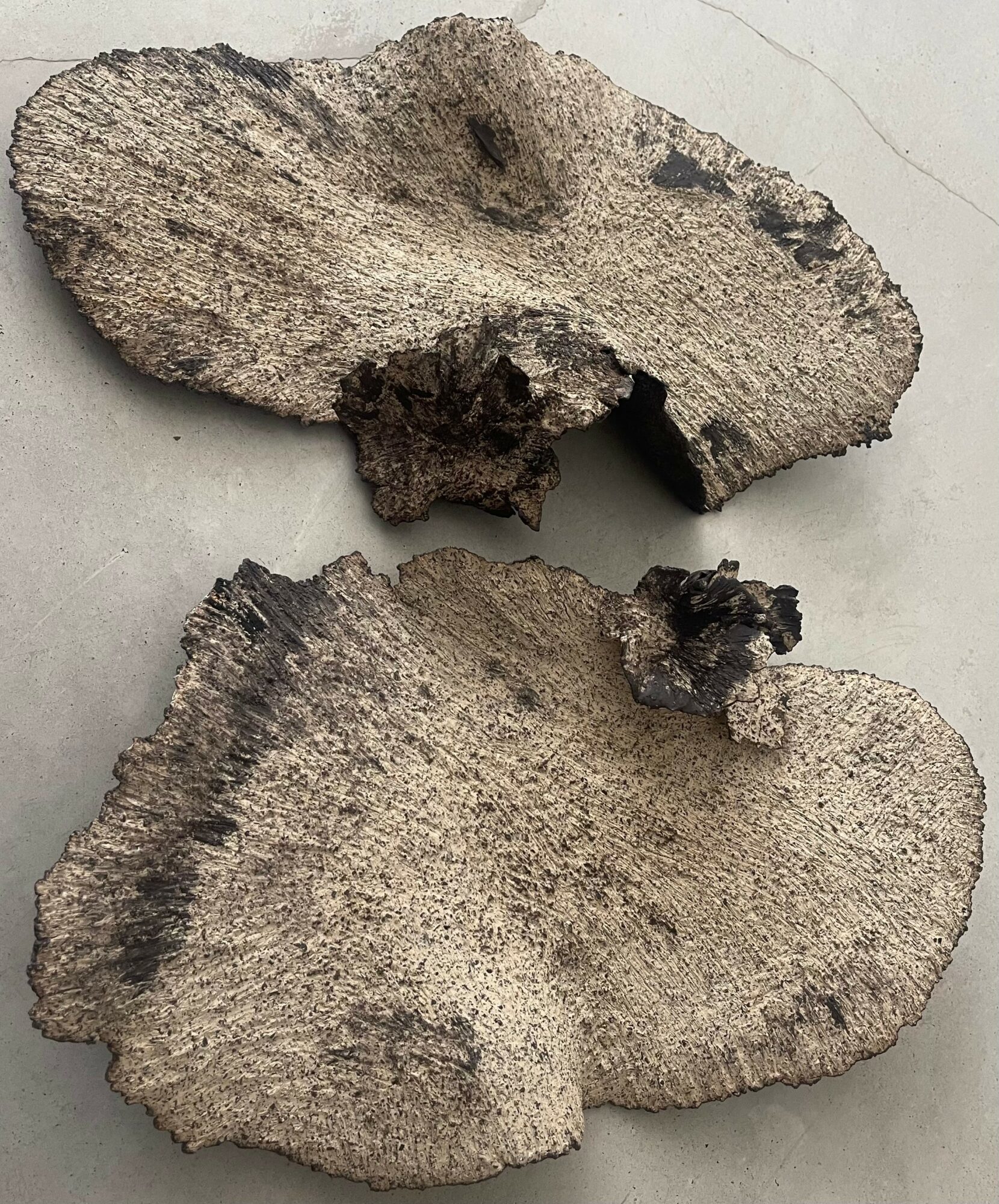 Two pieces of weathered, grayish wood with rough textures and irregular shapes, placed on a light surface.