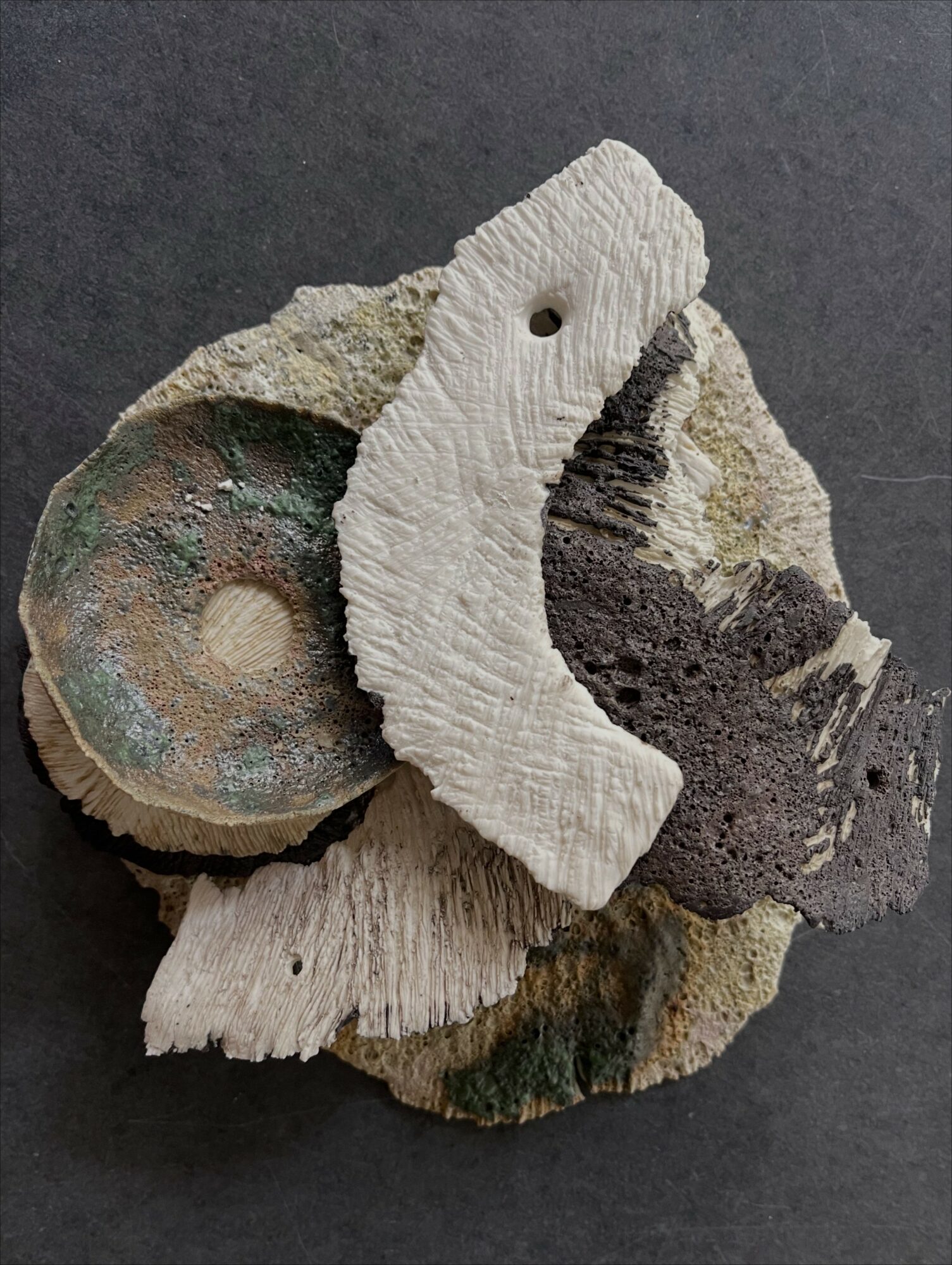 Collection of various rocks and fossils, including a white coral fragment, on a dark surface.
