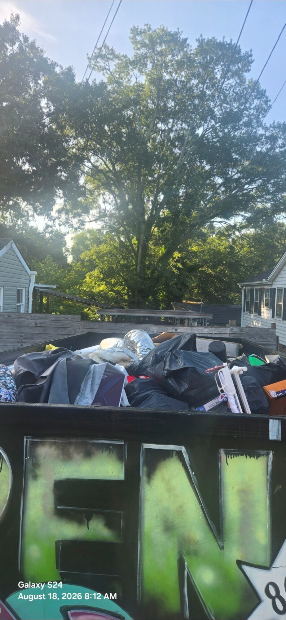 Large tree with green leaves in a suburban neighborhood, trash and debris in the foreground, houses and power lines in the background.
